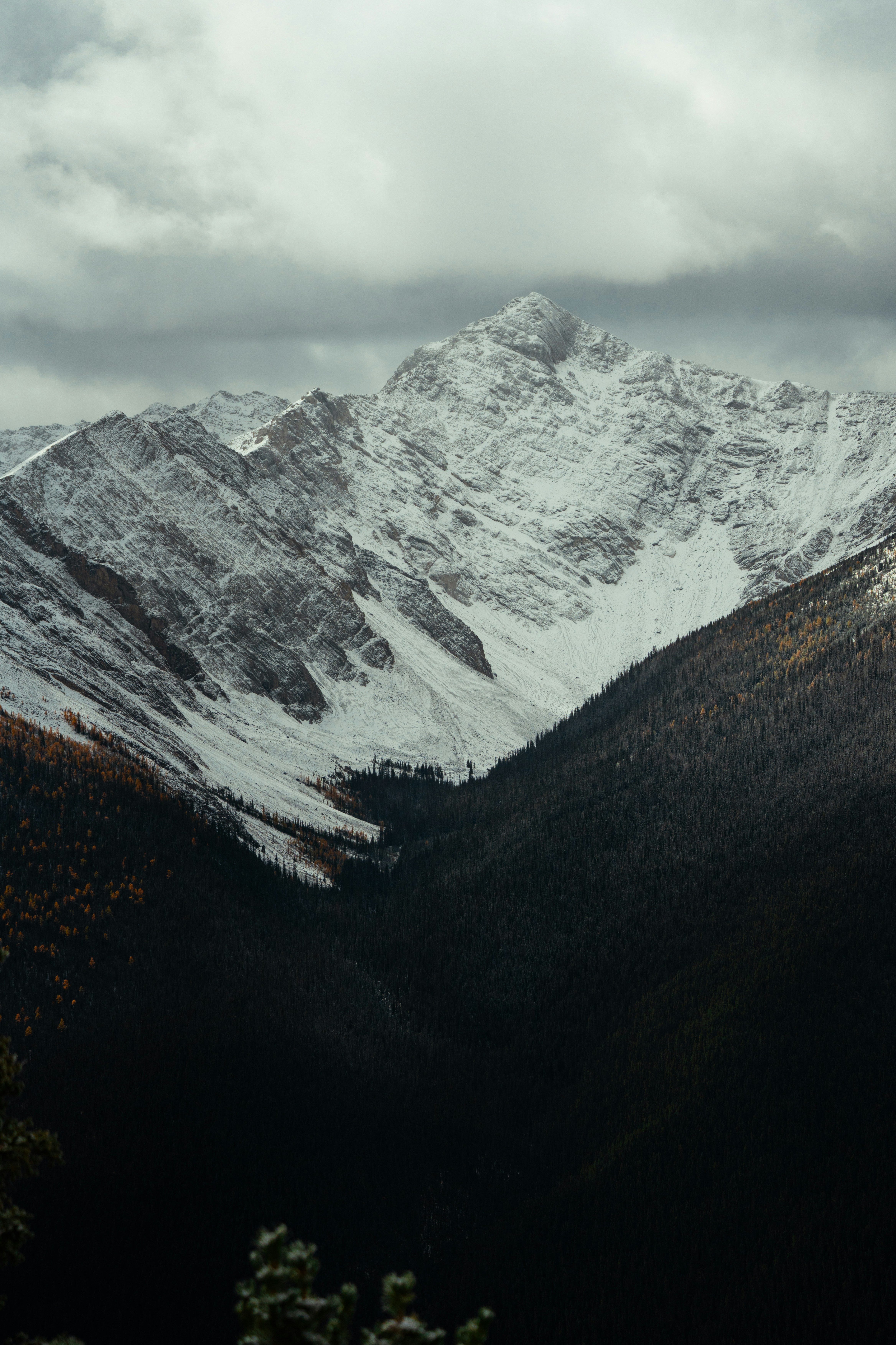 Photo by bylukemiller