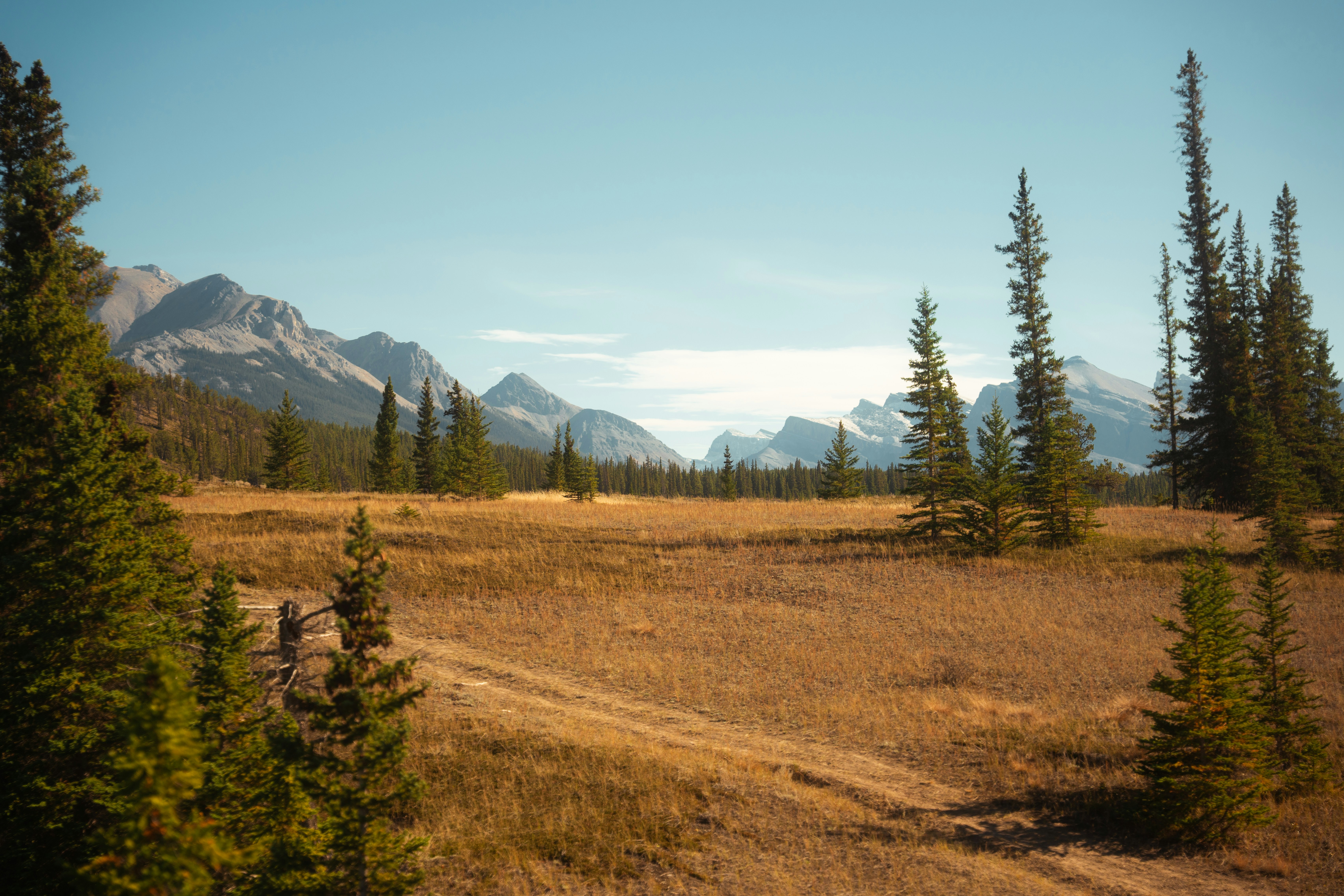 Photo by bylukemiller