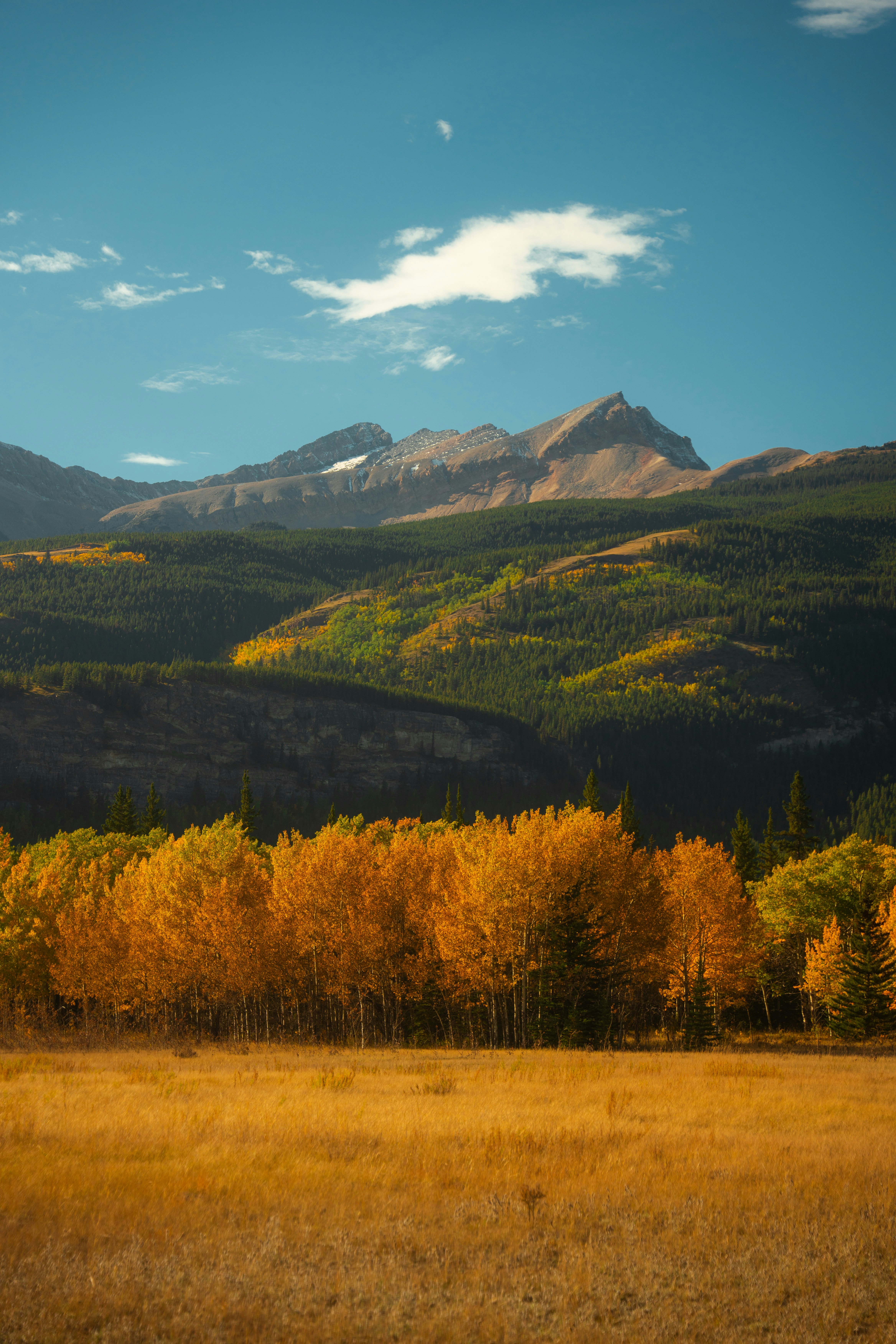 Photo by bylukemiller