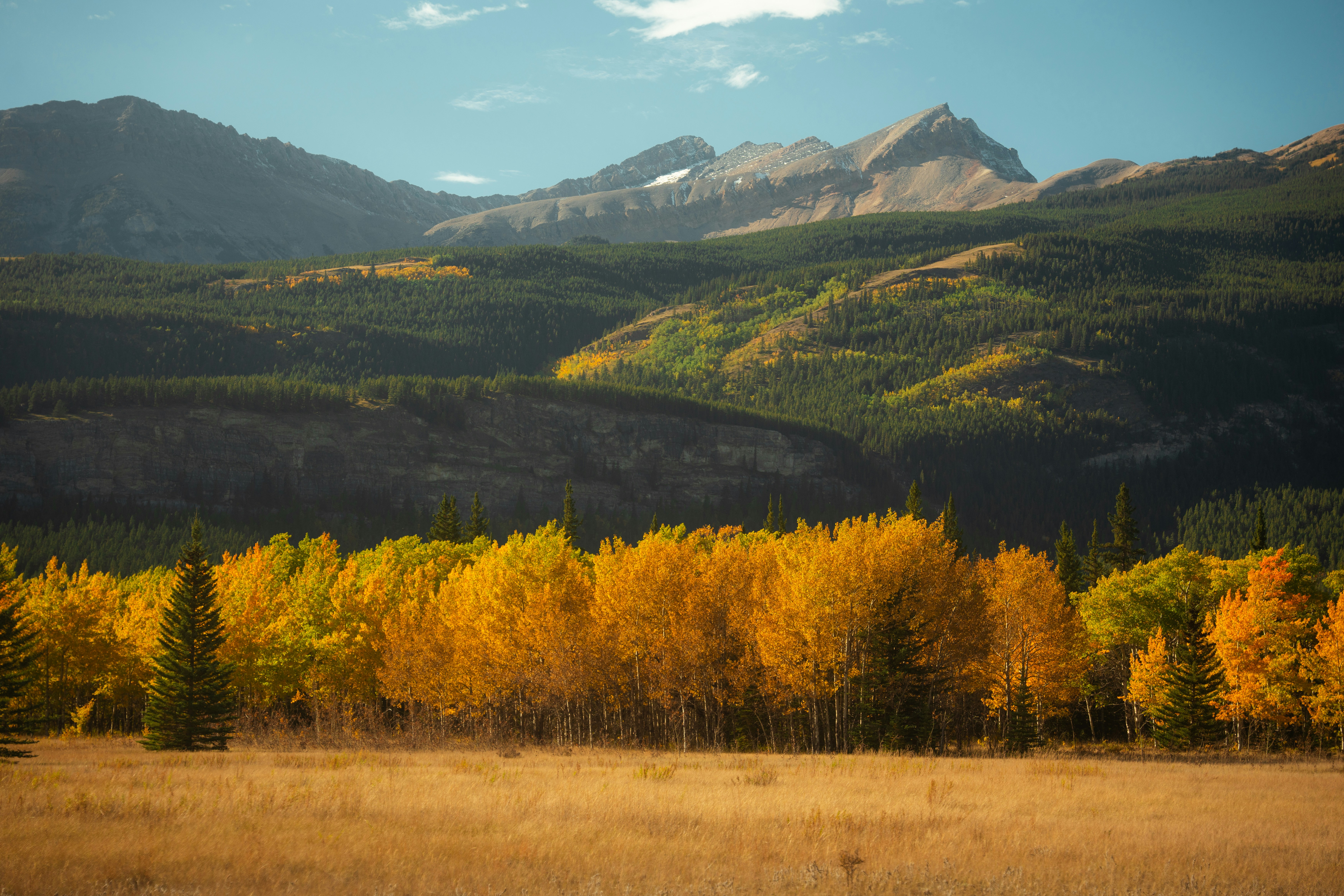 Photo by bylukemiller