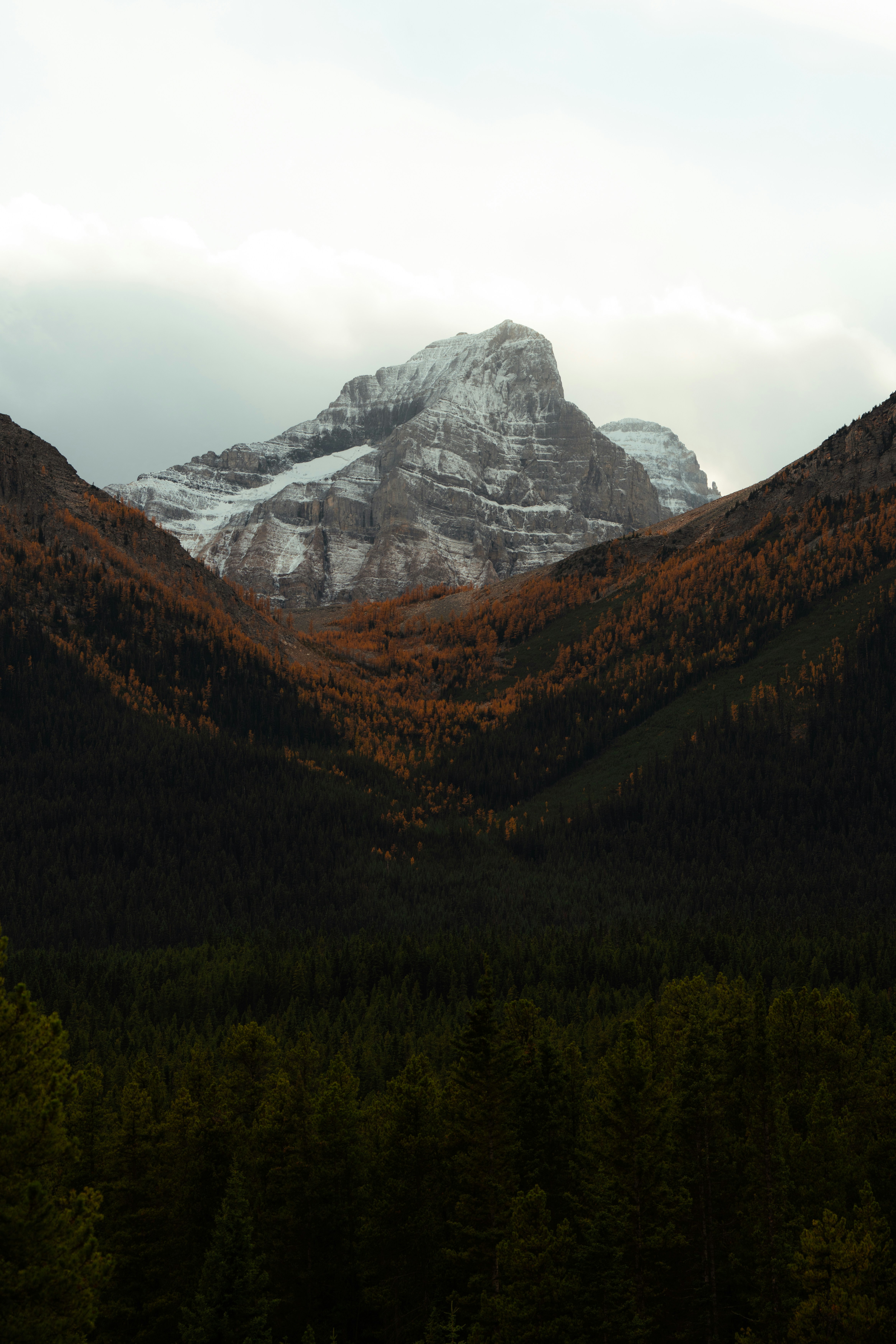 Photo by bylukemiller