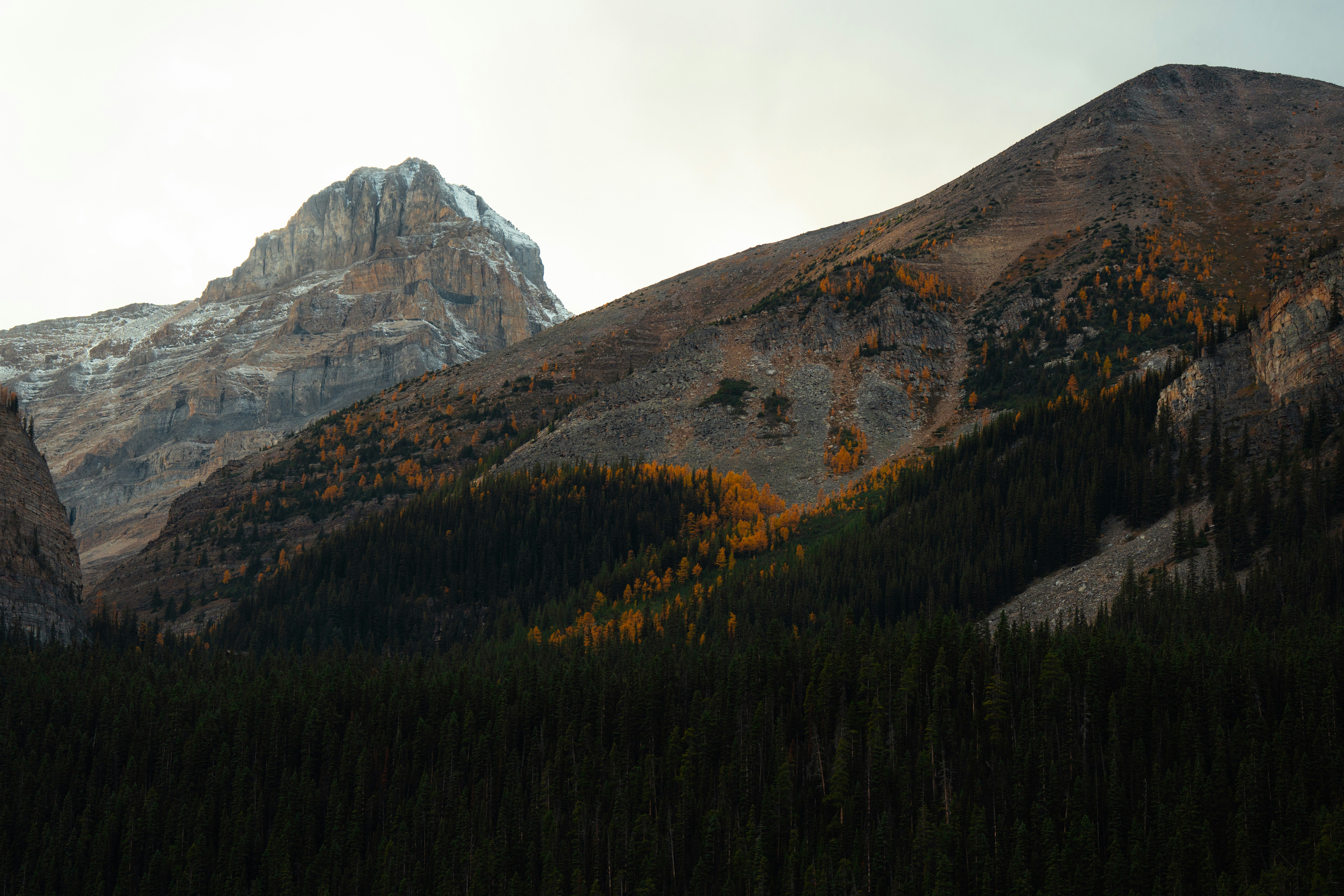 Photo by bylukemiller