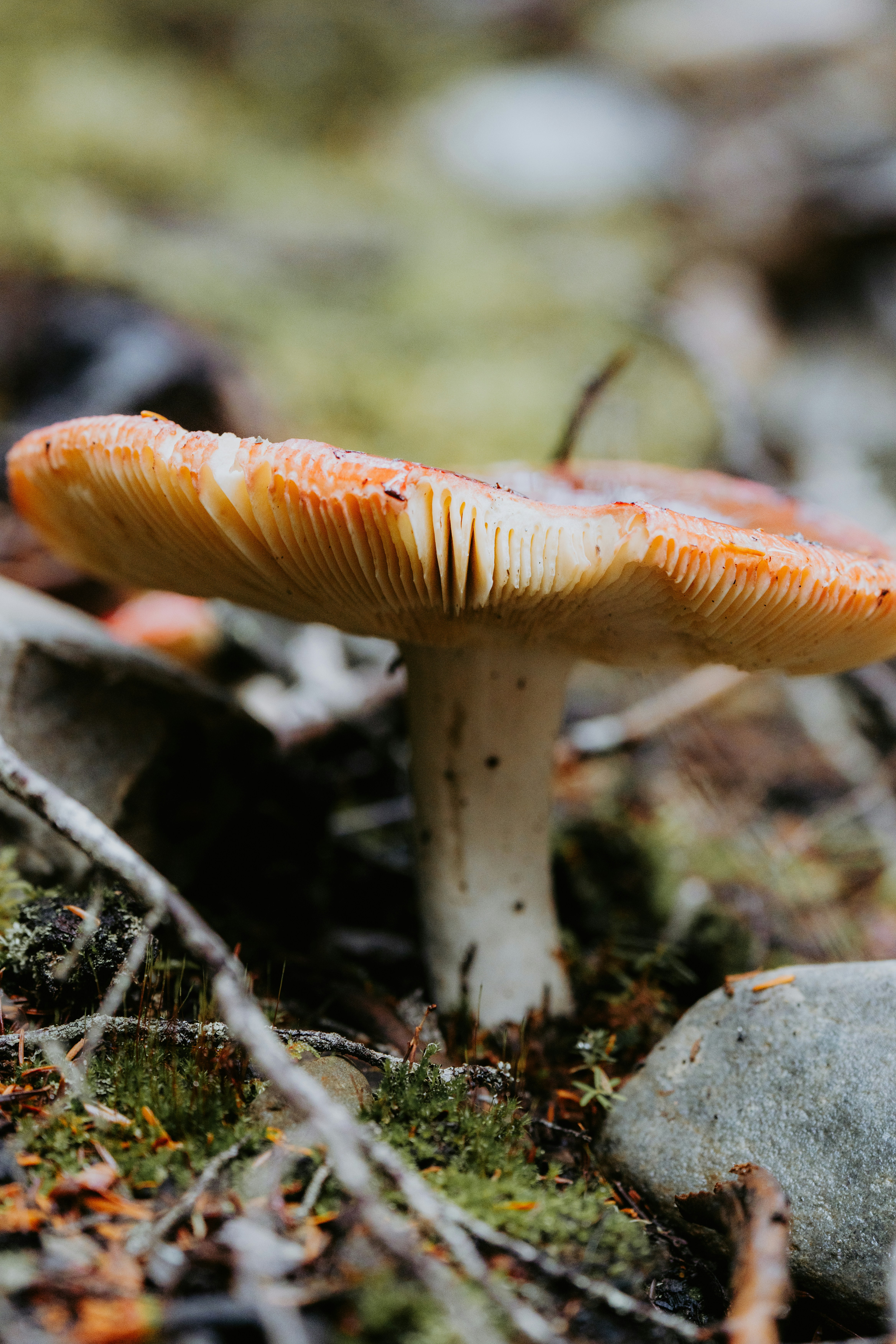 Photo by bylukemiller