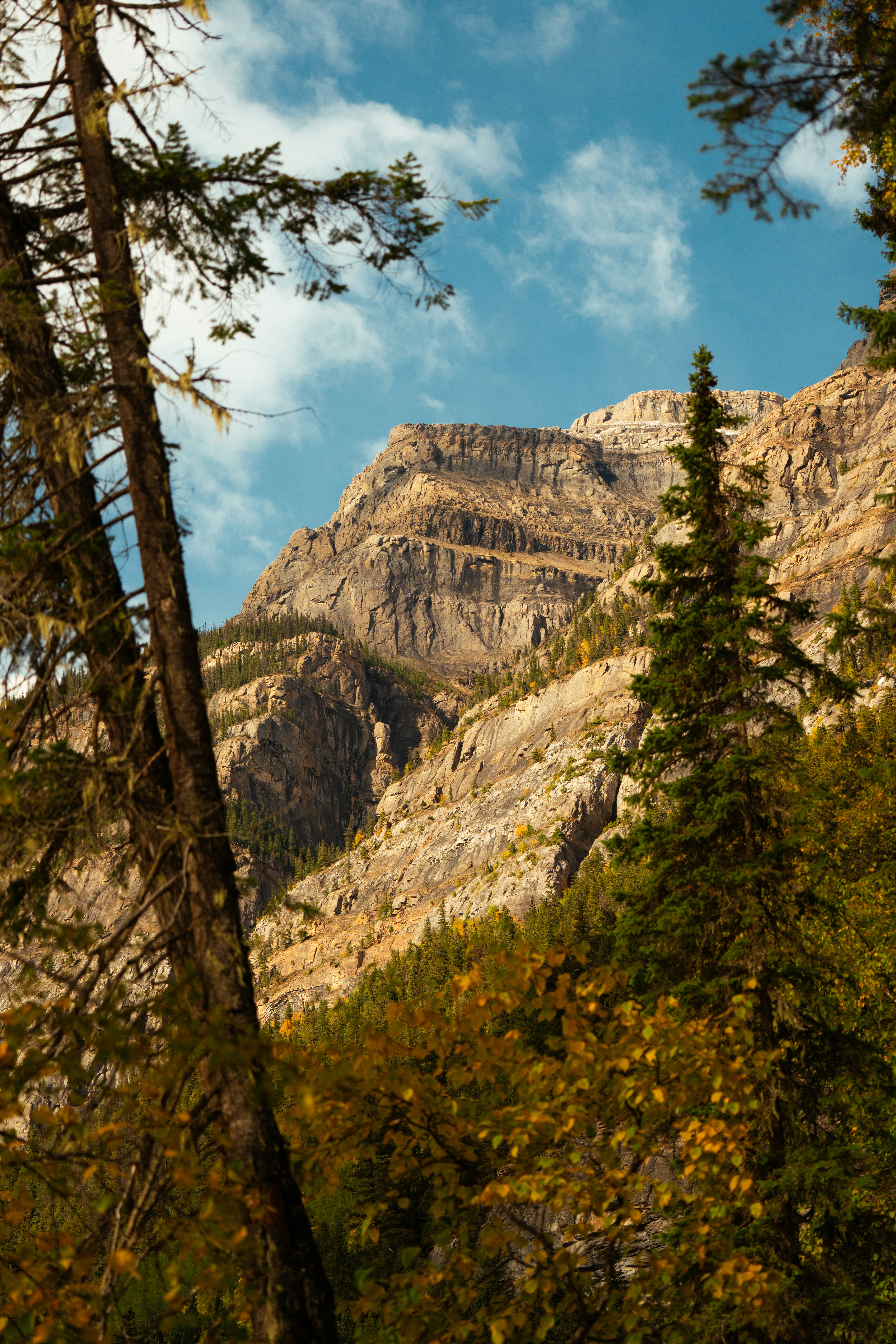 Photo by bylukemiller