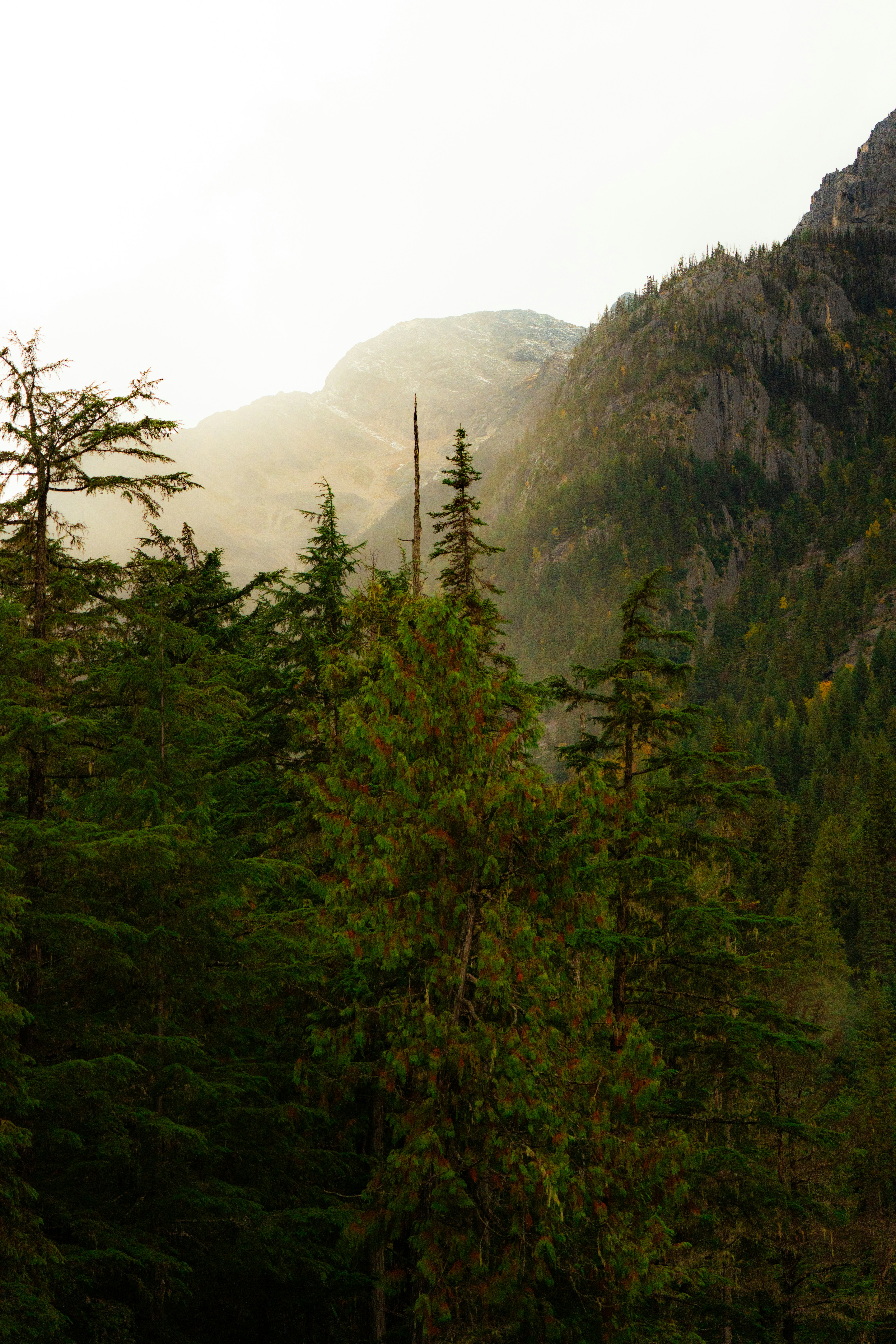 Photo by bylukemiller