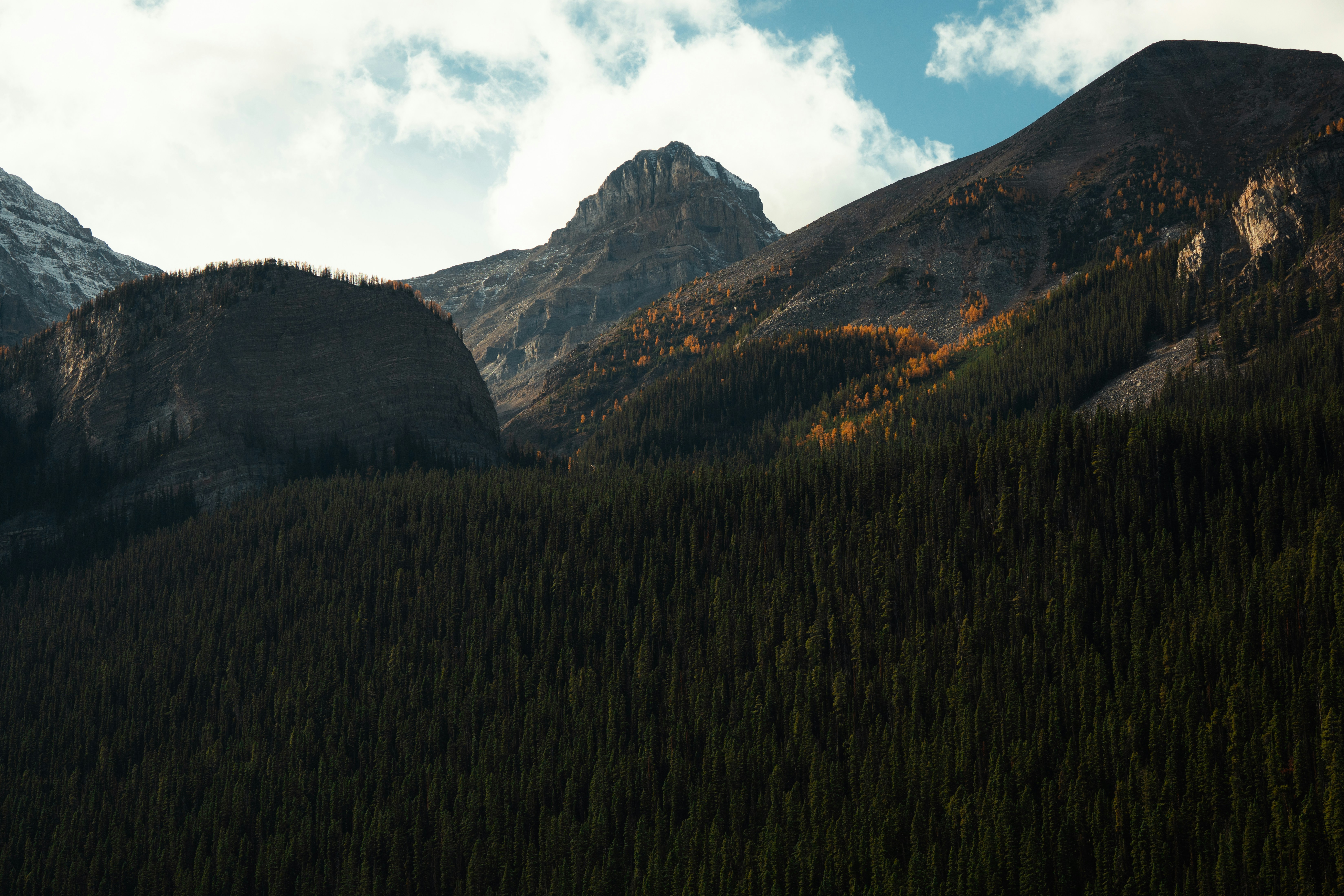 Photo by bylukemiller