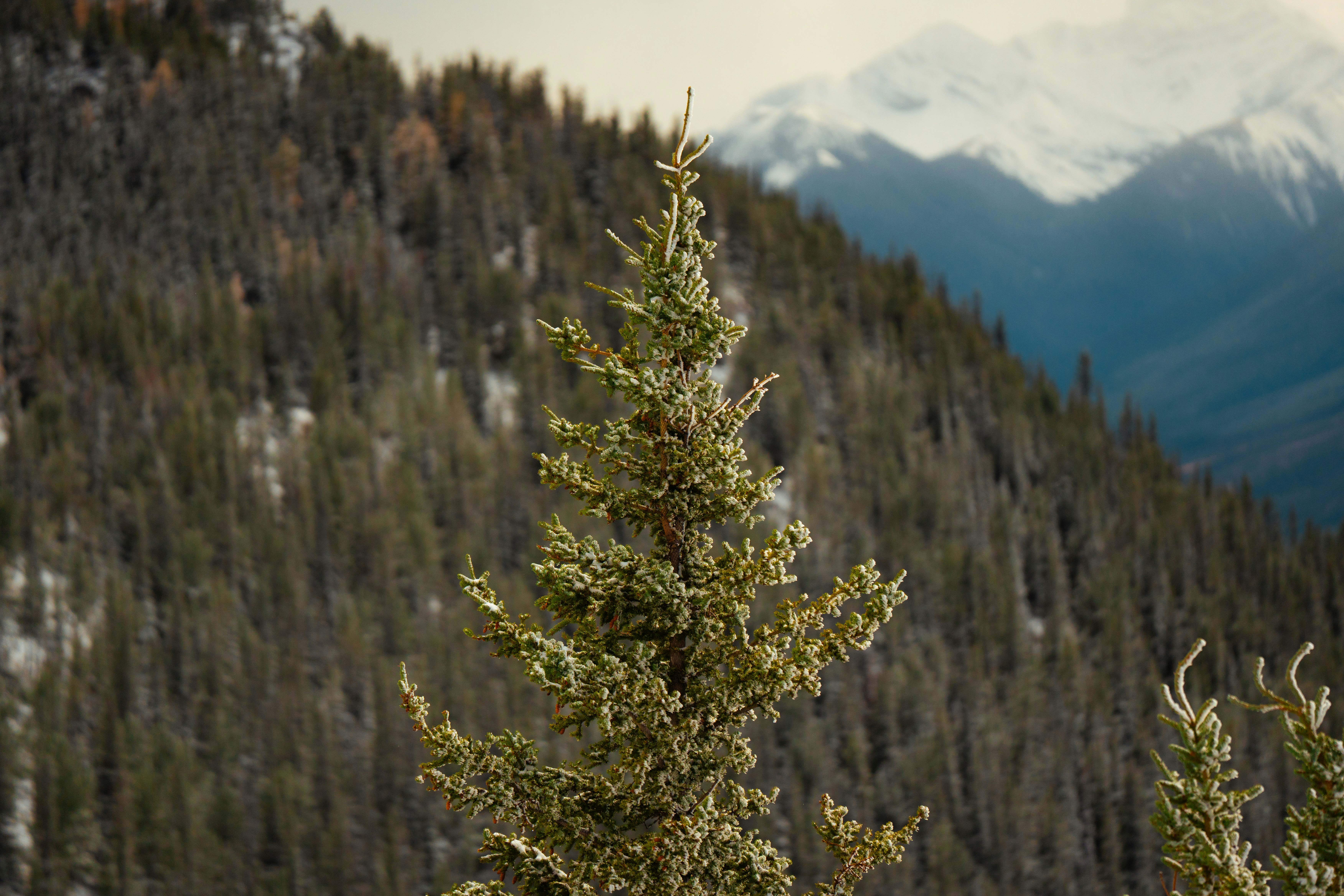 Photo by bylukemiller