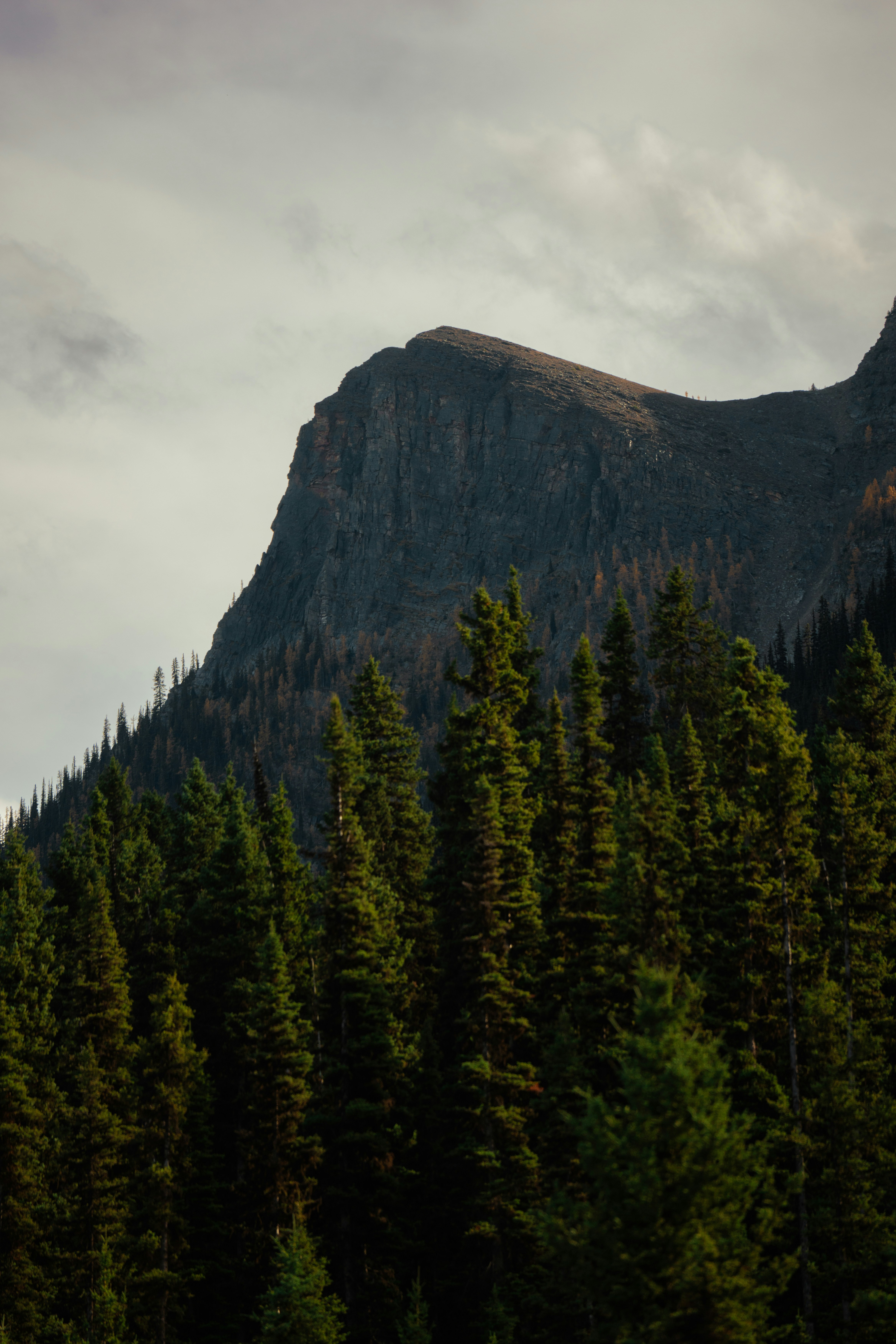 Photo by bylukemiller