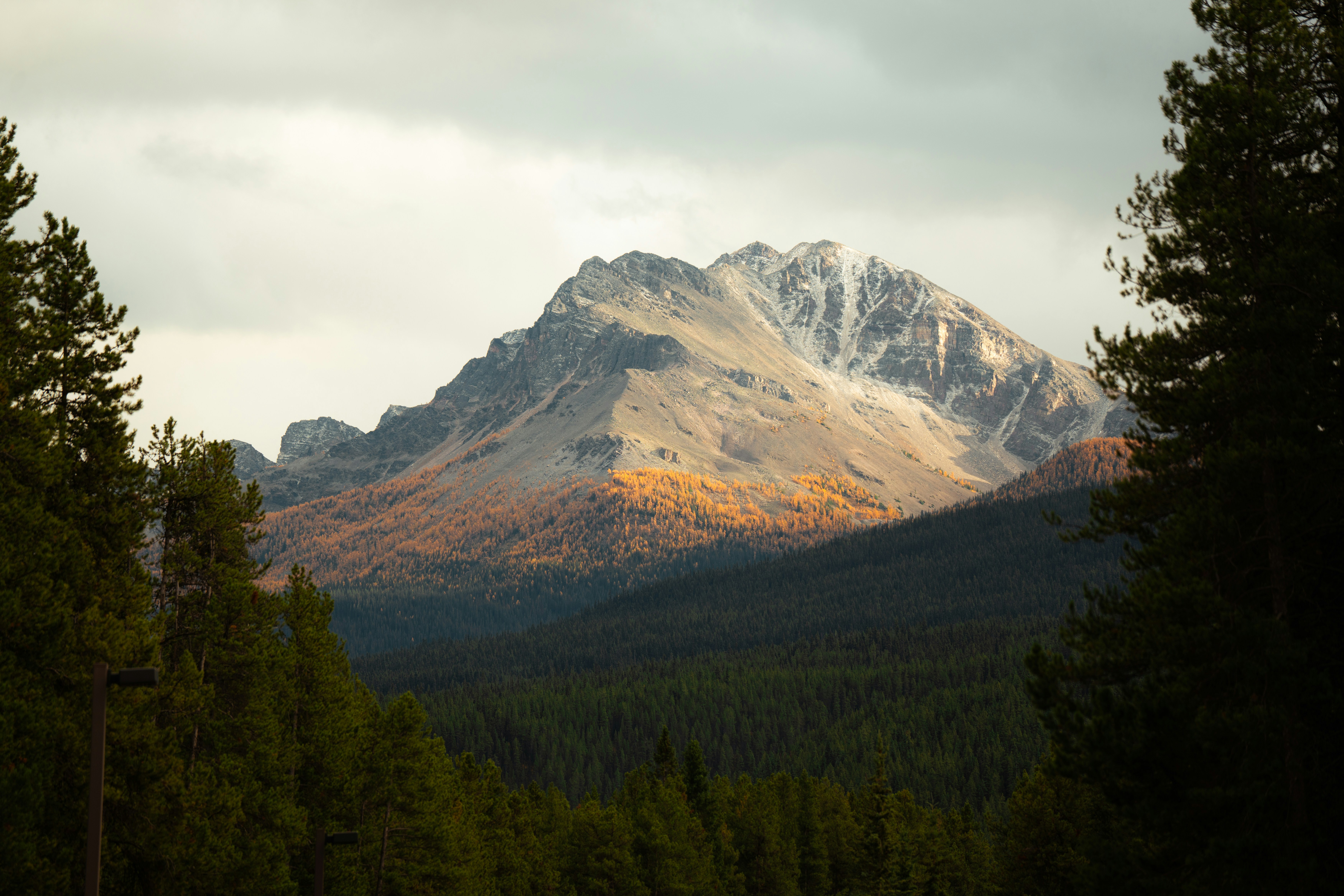 Photo by bylukemiller