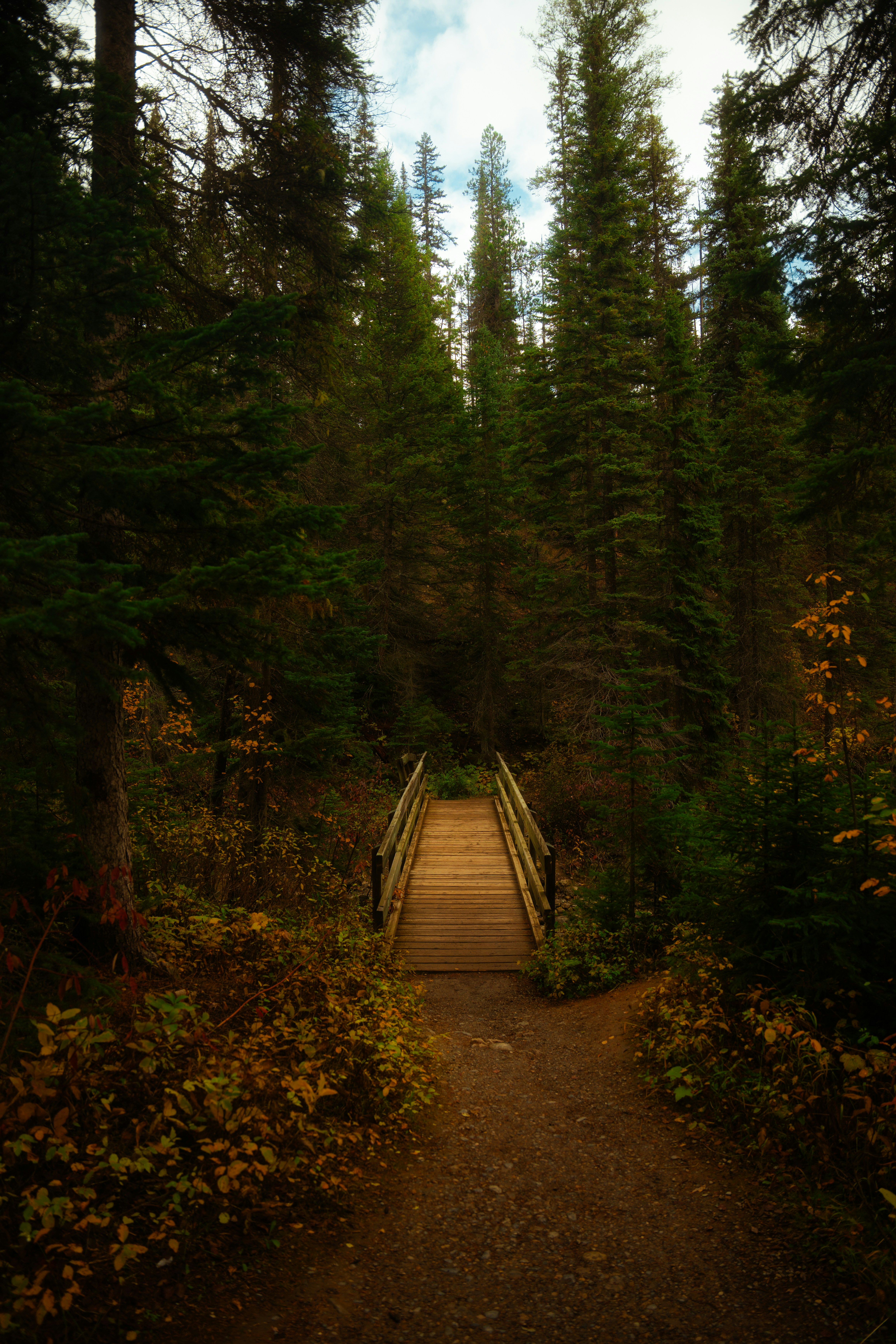 Photo by bylukemiller