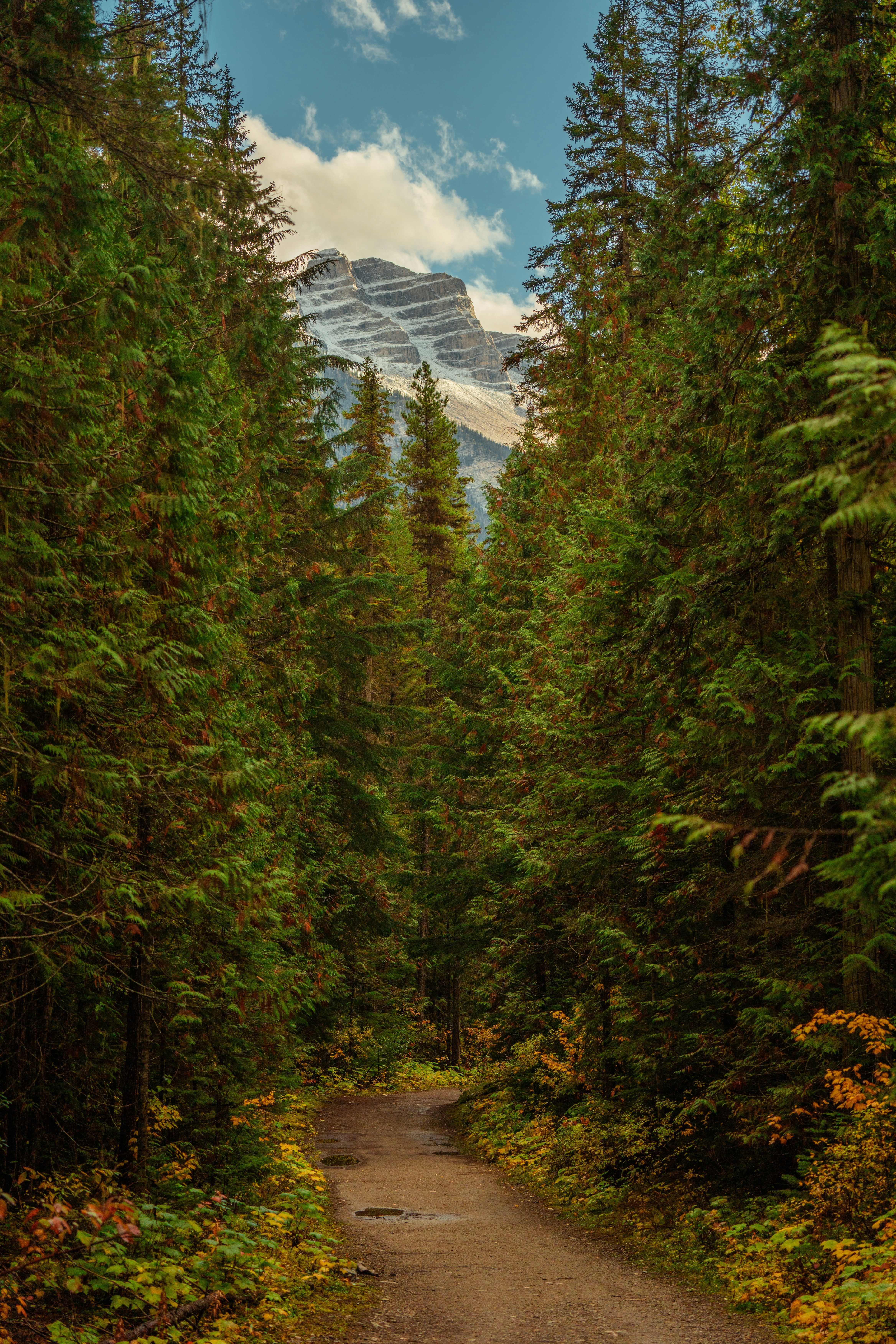 Photo by bylukemiller