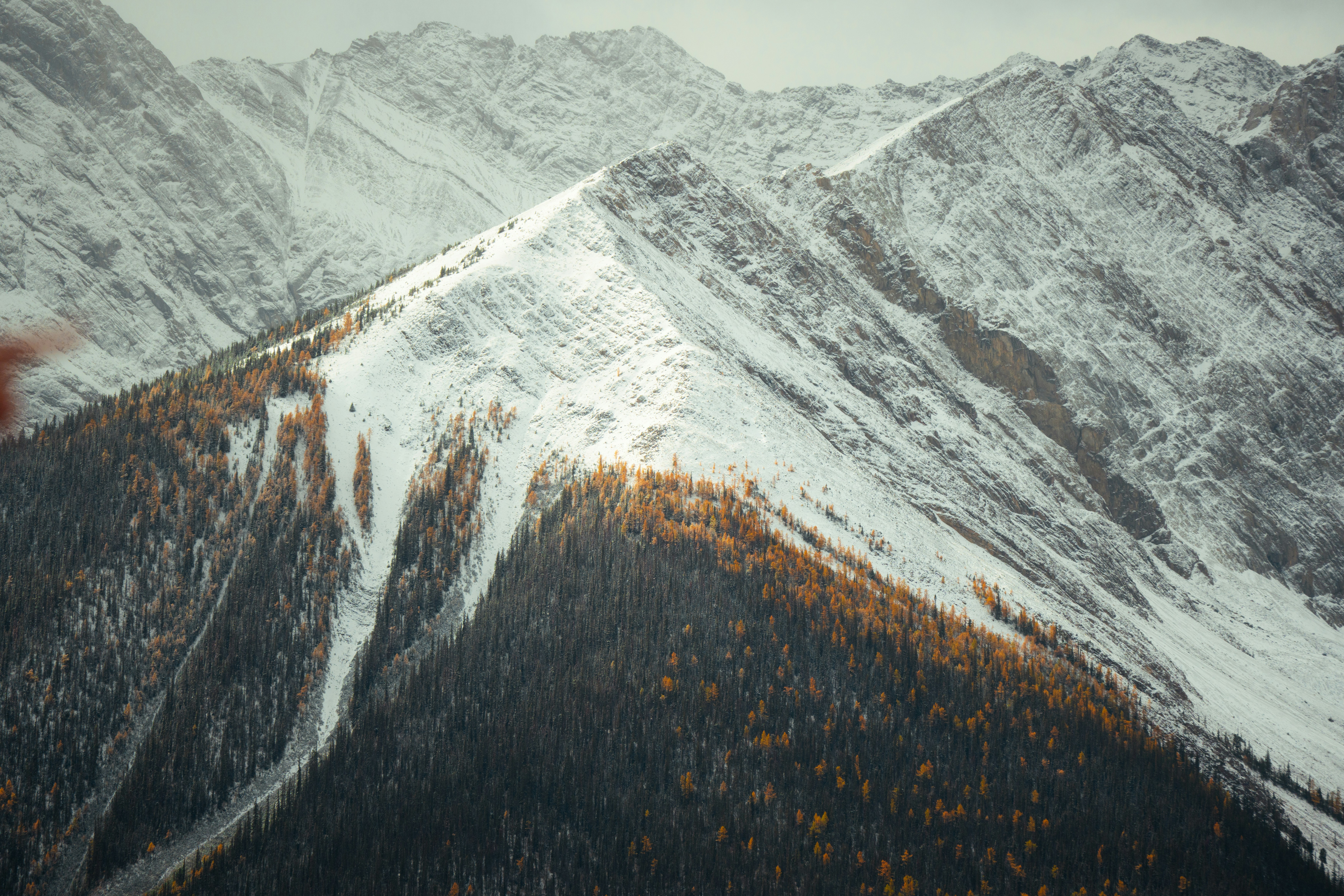 Photo by bylukemiller