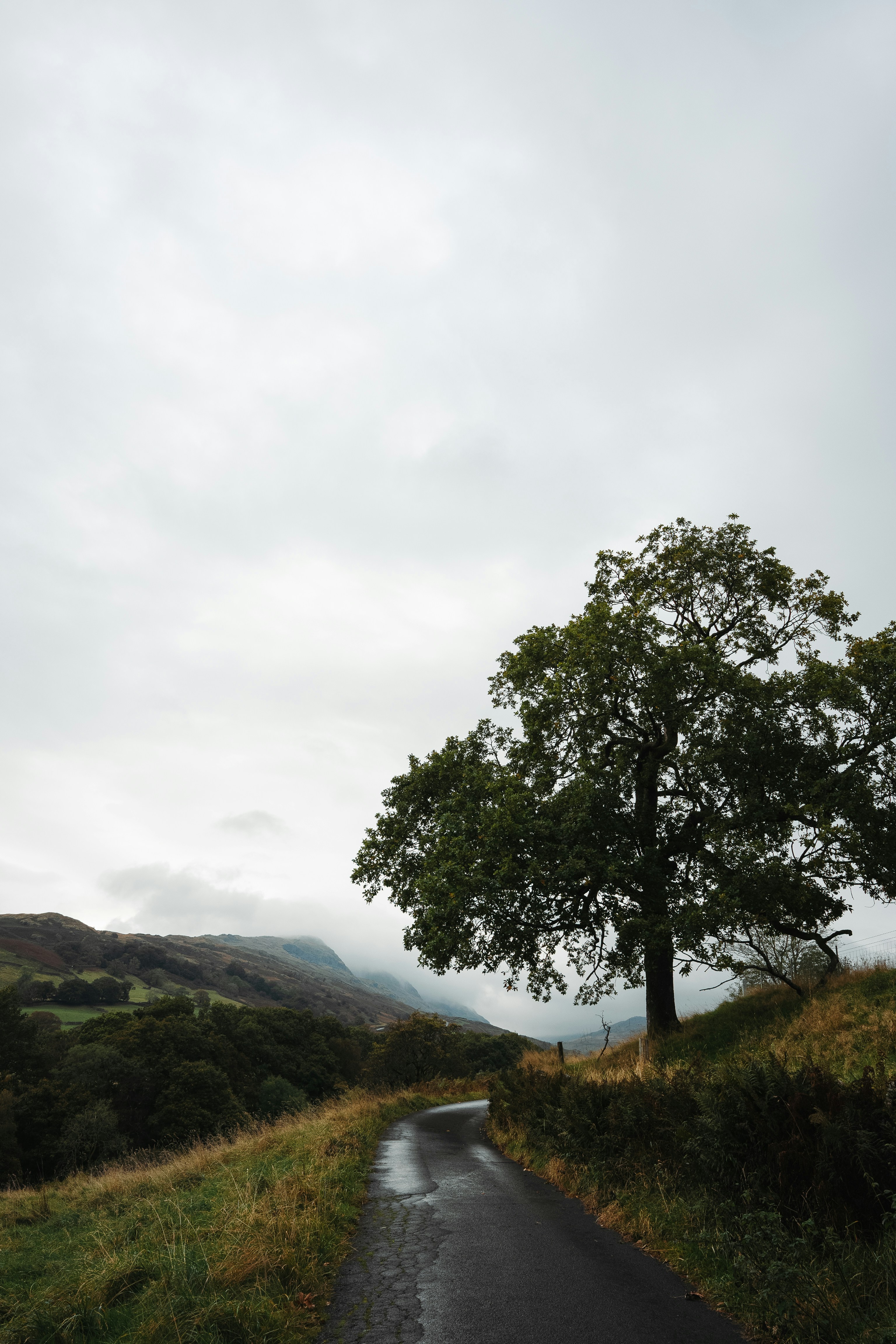 Photo by sophiegerrie