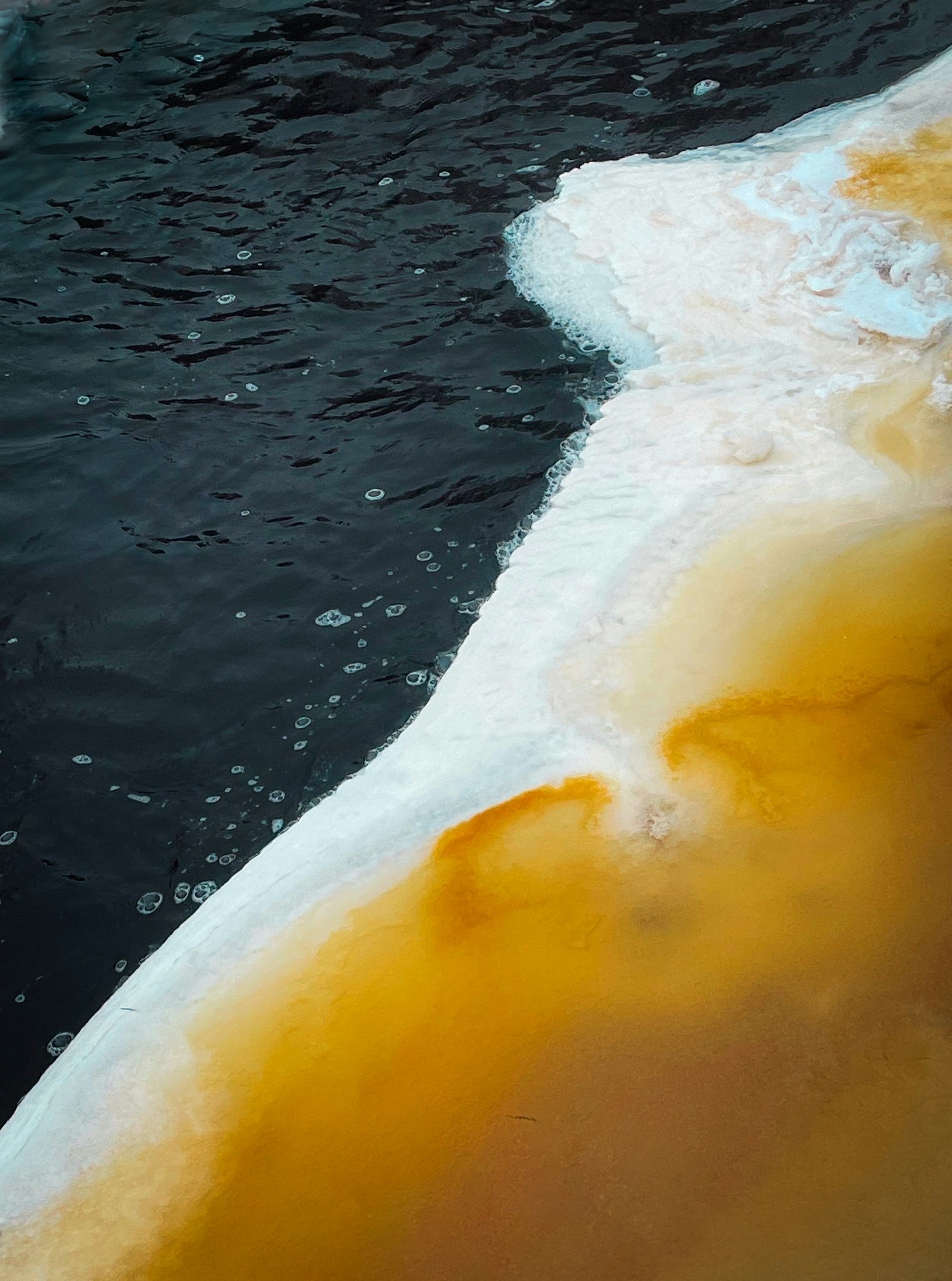 A yellow substance floating on top of a body of water