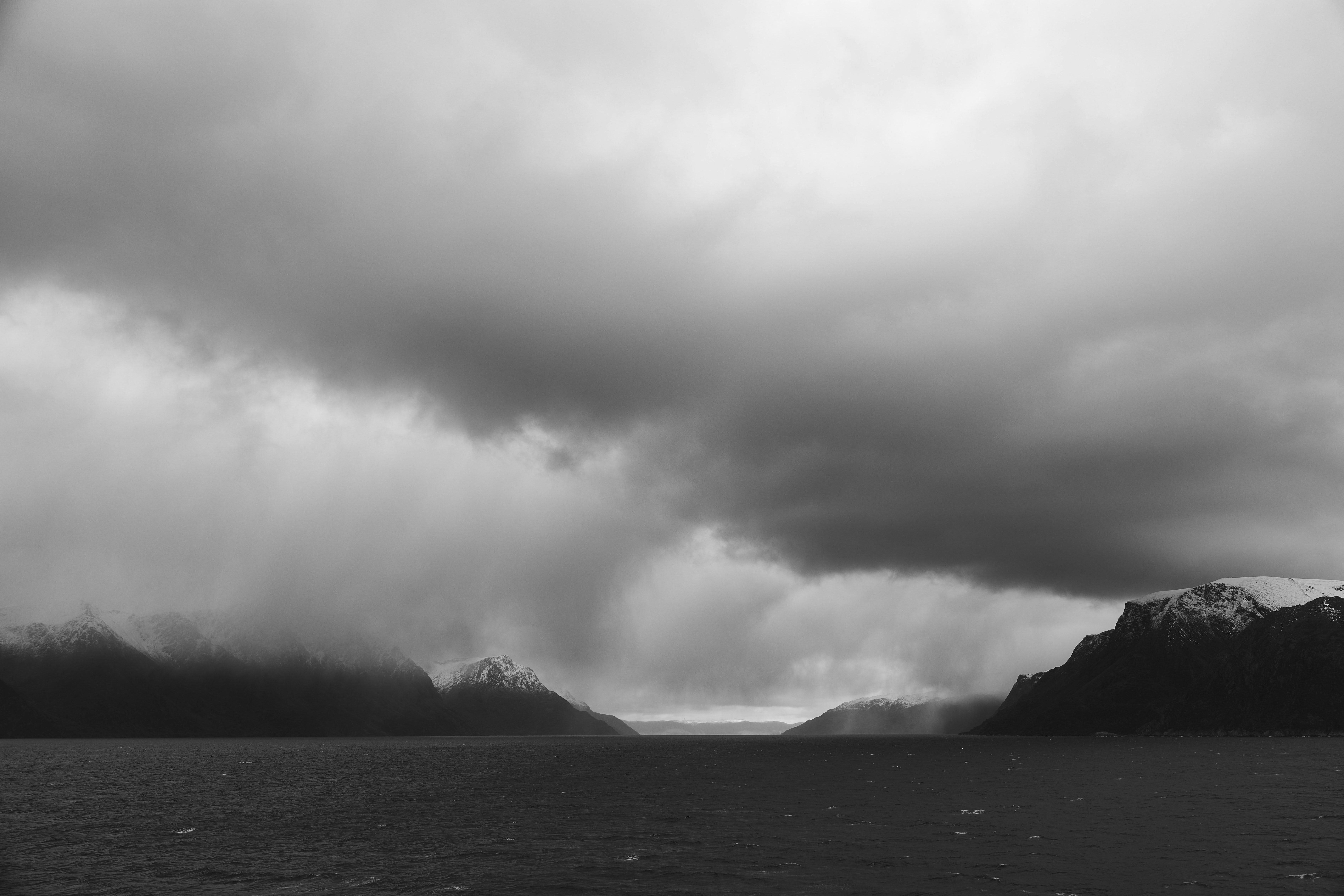 Photo by wolfgang_hasselmann