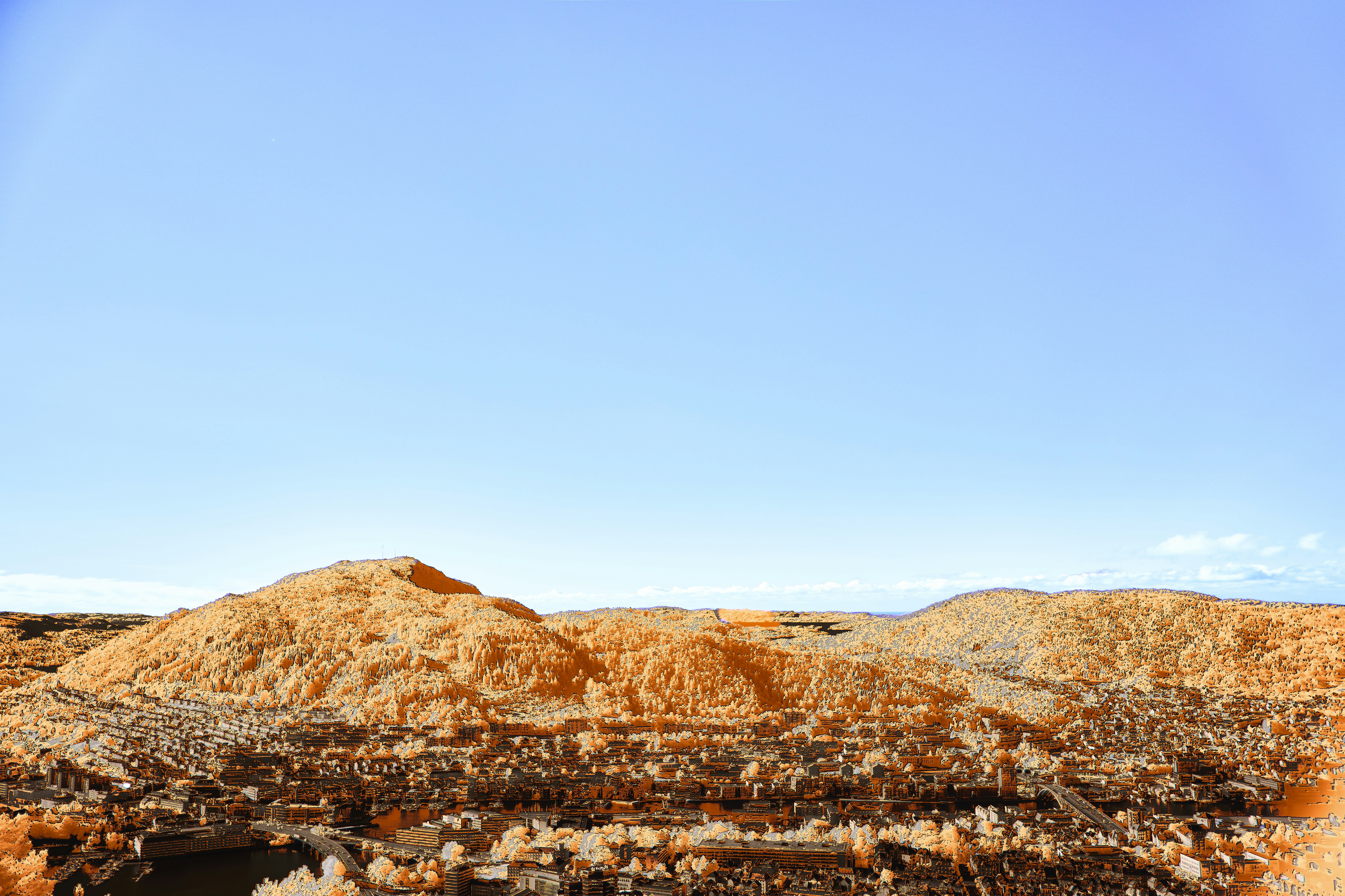 Photo by wolfgang_hasselmann