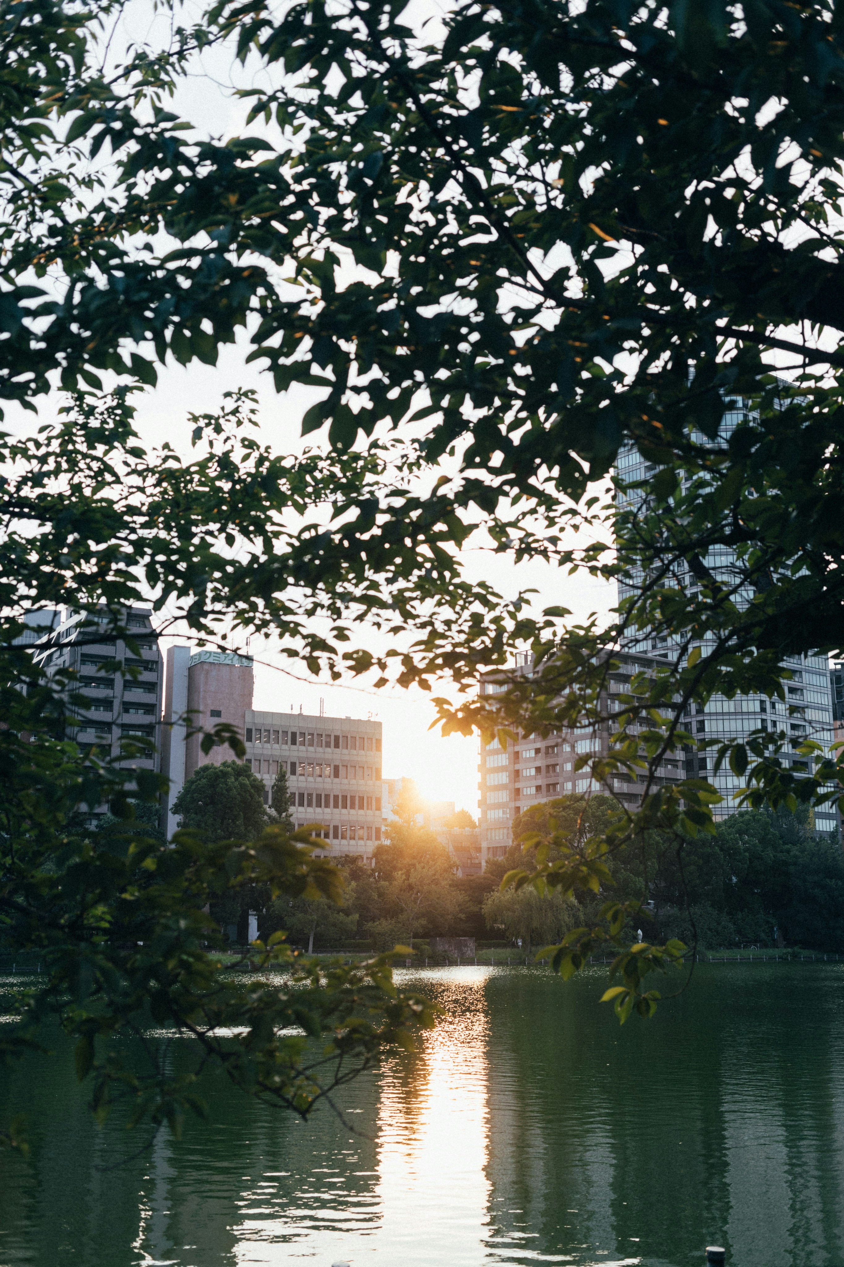 "How Good Is Chulalongkorn University In Bangkok"