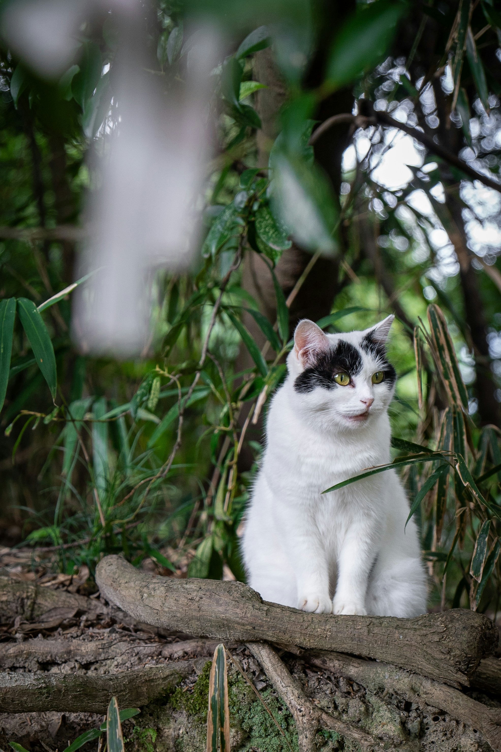 Photo by alexgoesglobal