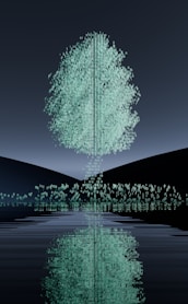 A tree is reflected in the water at night