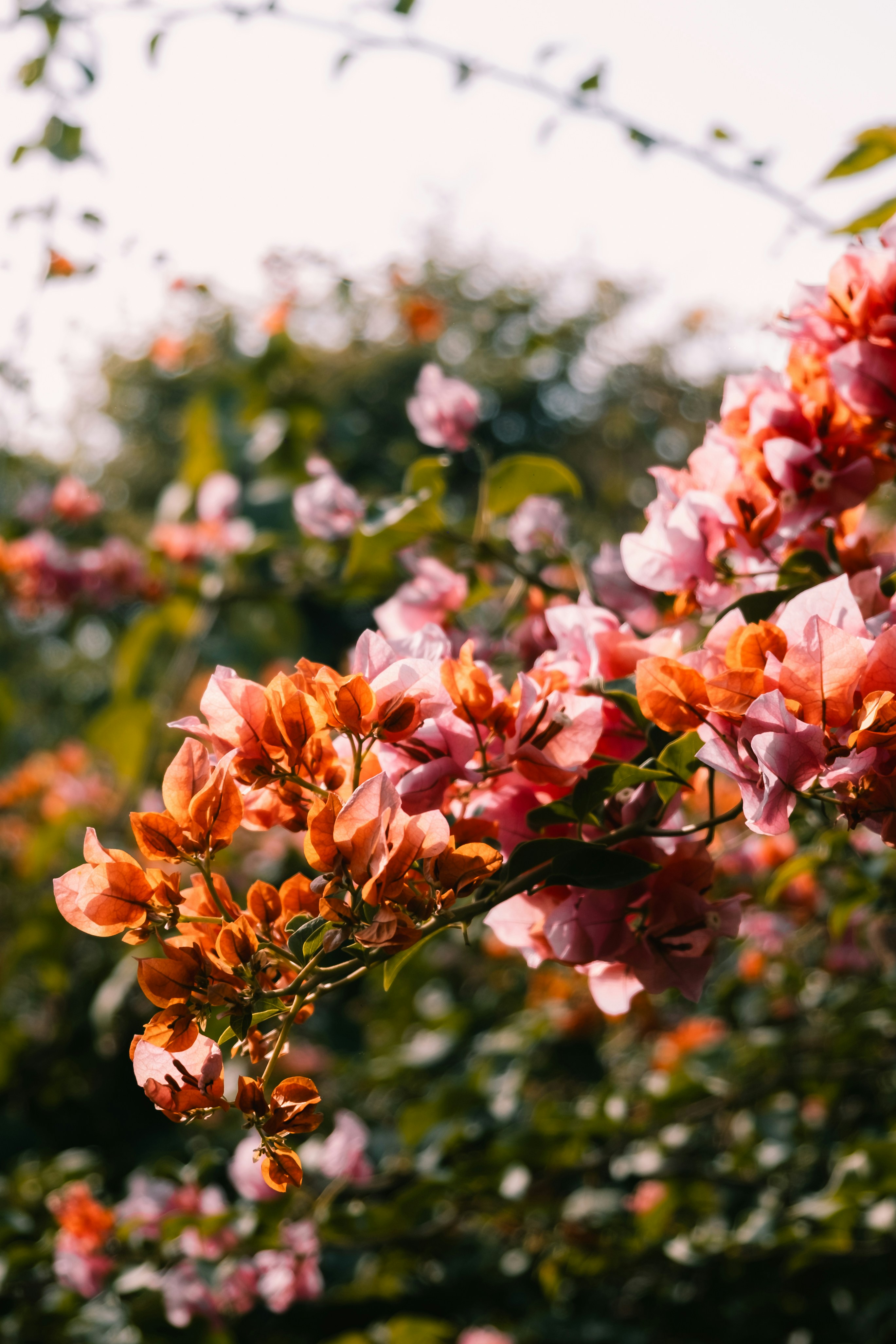 Photo by gencsanatkultur