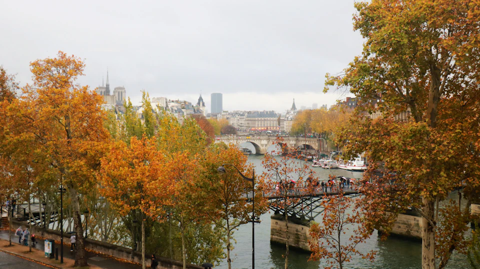 Plane trees turning orange along the Seine embankment, with a footbridge, the Pont Neuf and the towers of Notre-Dame under a grey autumn sky