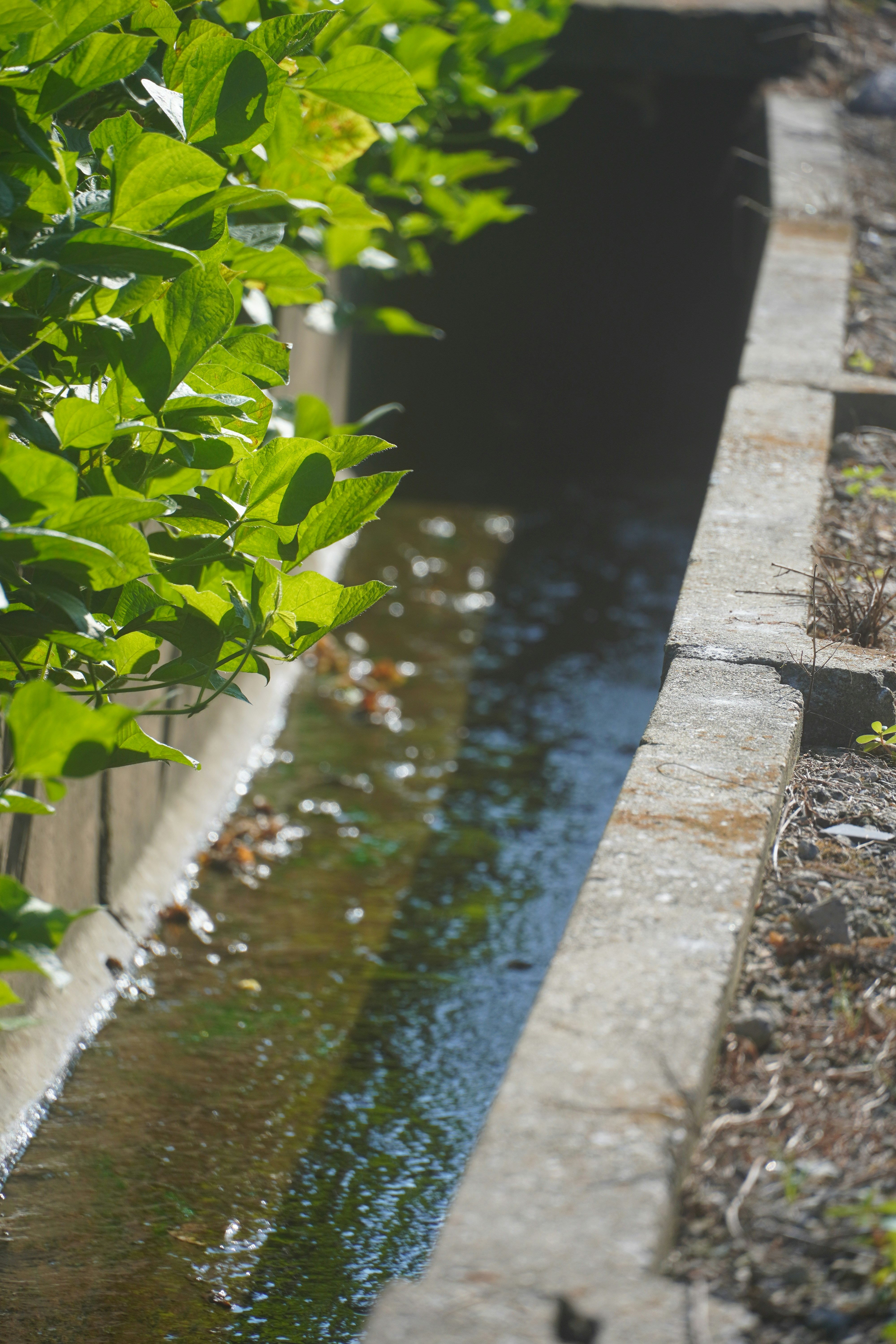 Photo by lifeinkorea