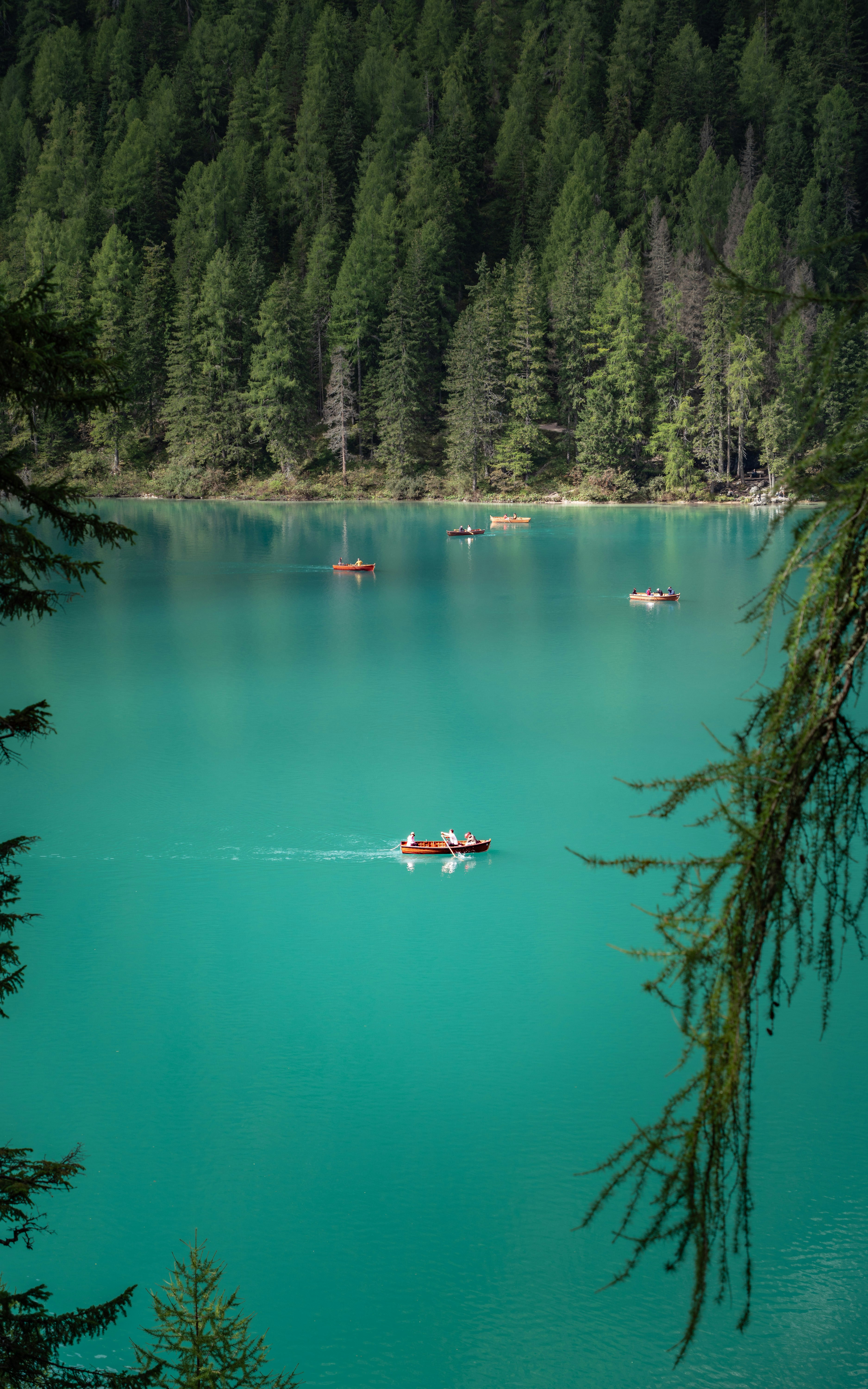 Photo by michaelfousert