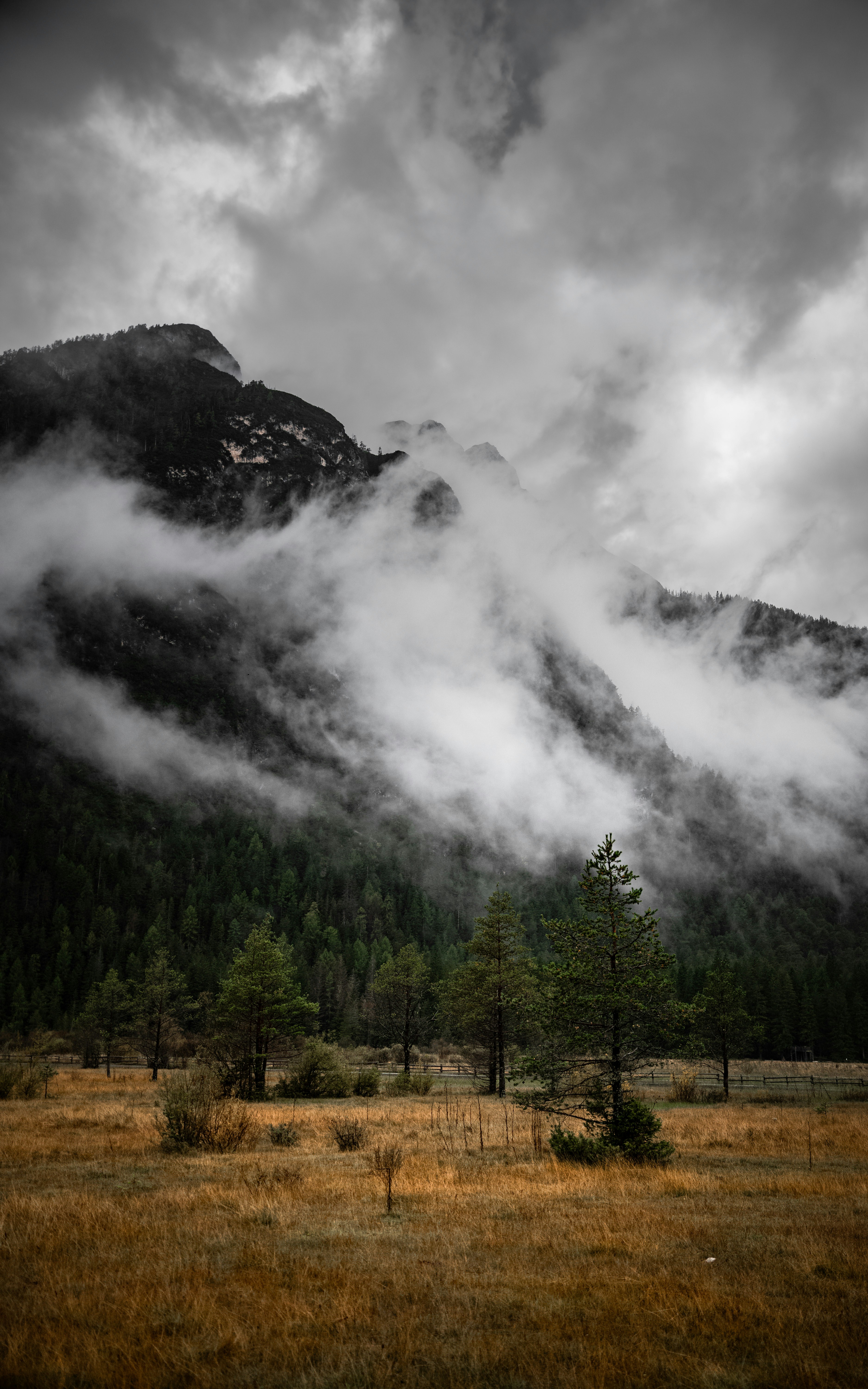 Photo by michaelfousert