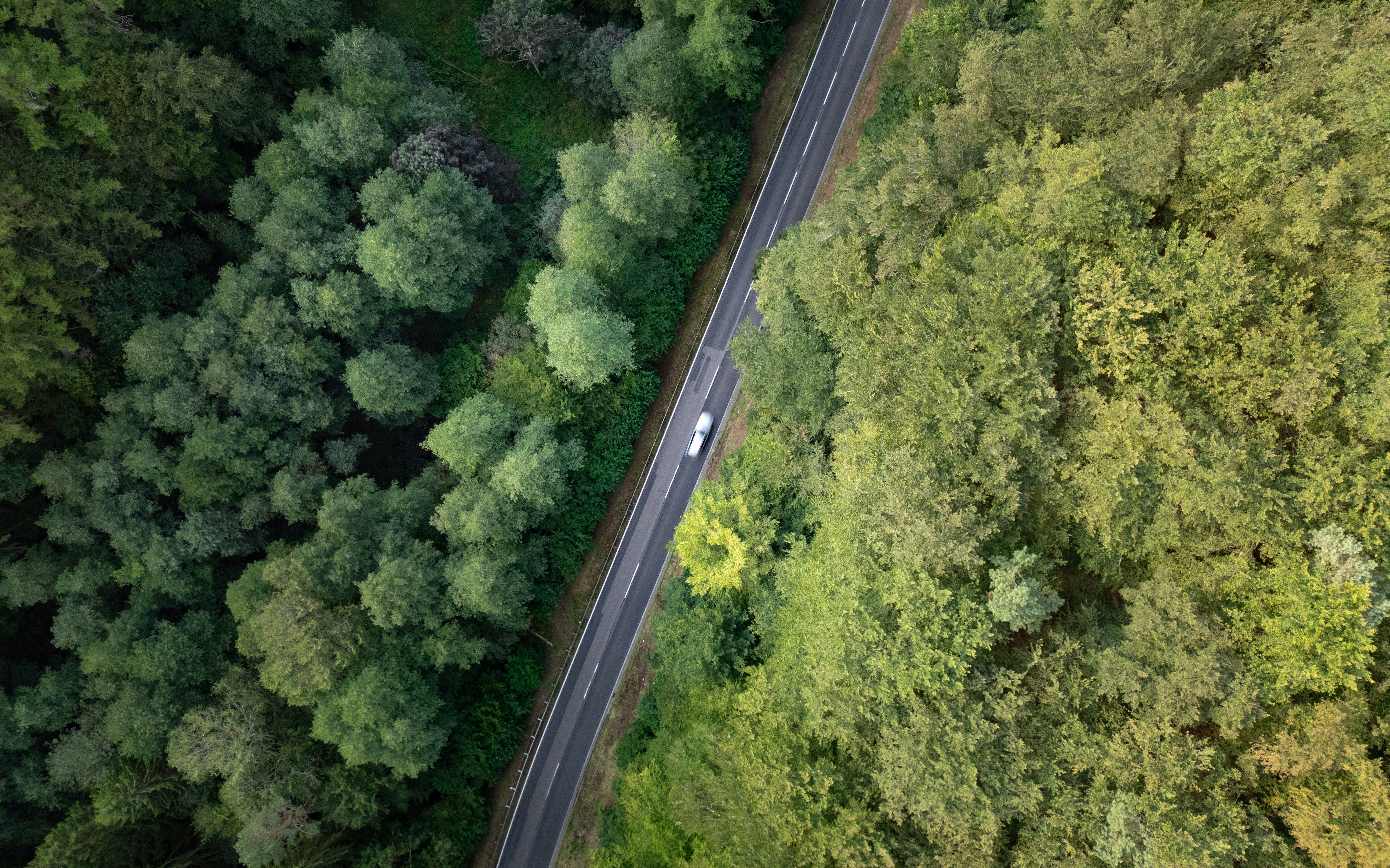 Photo by michaelfousert