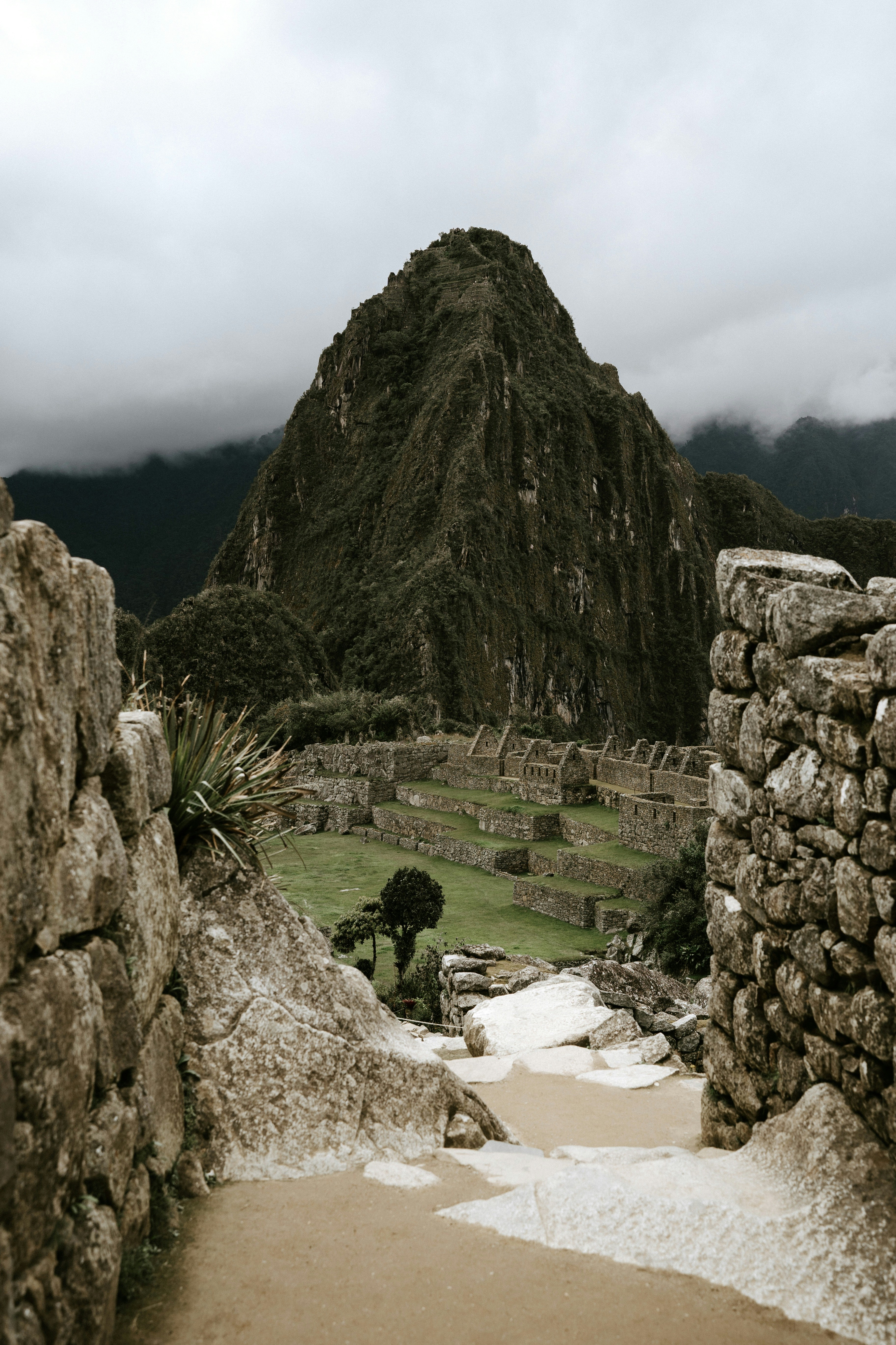 Machu Picchu