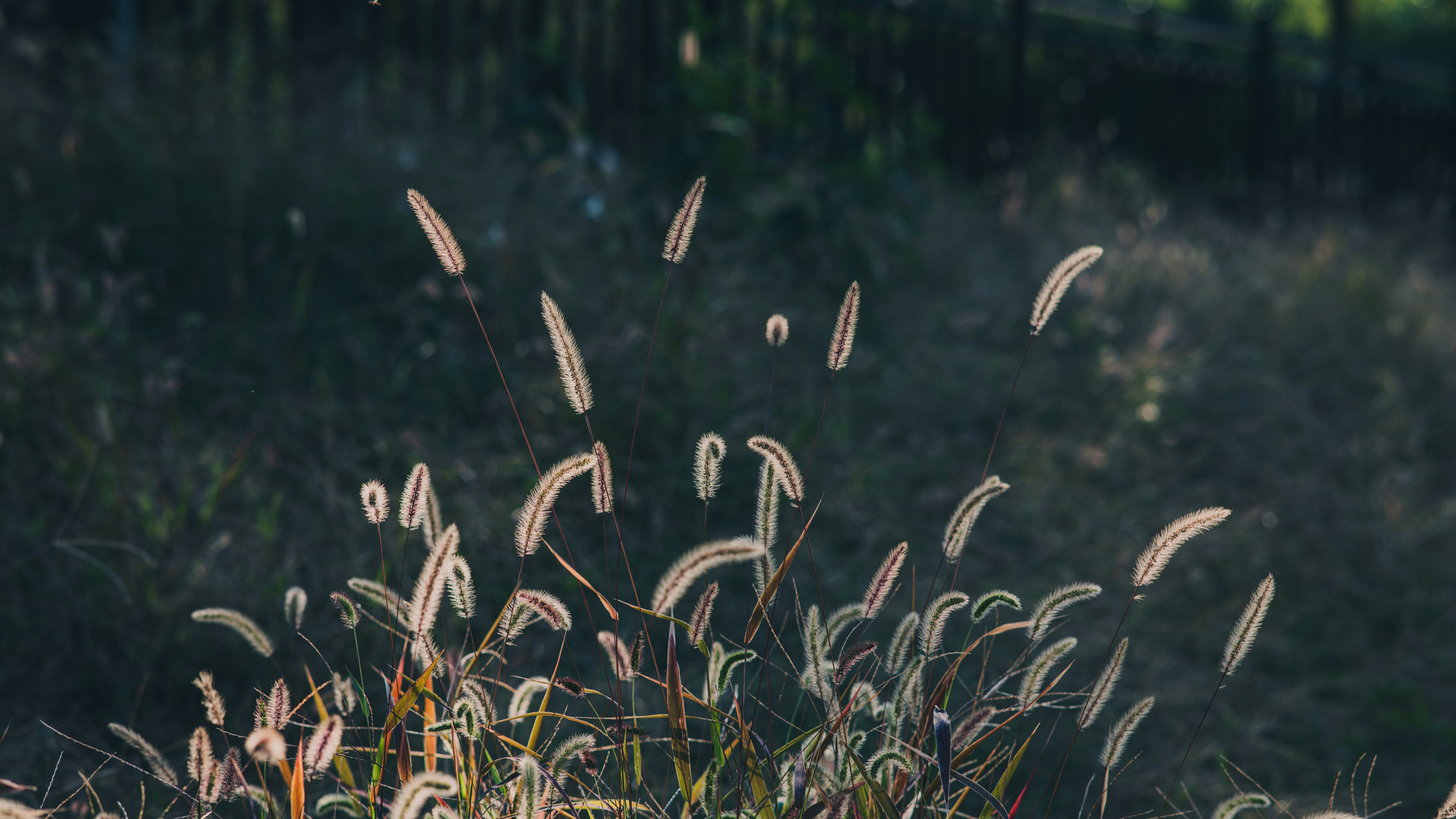 Photo by peek_a_boo_who