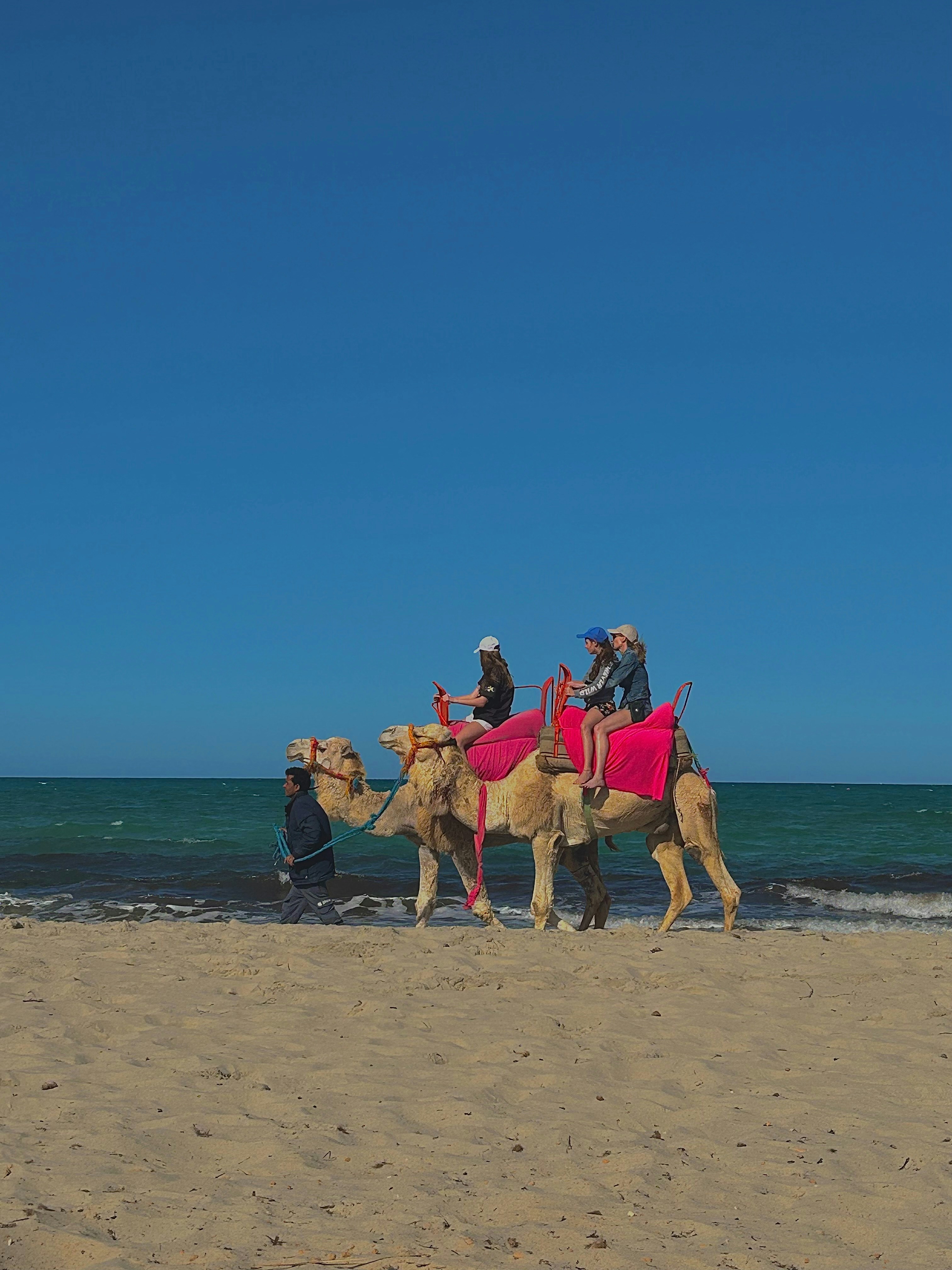 Djerba est-elle sûre ? 5 conseils pour voyager en toute sécurité et éviter les dangers