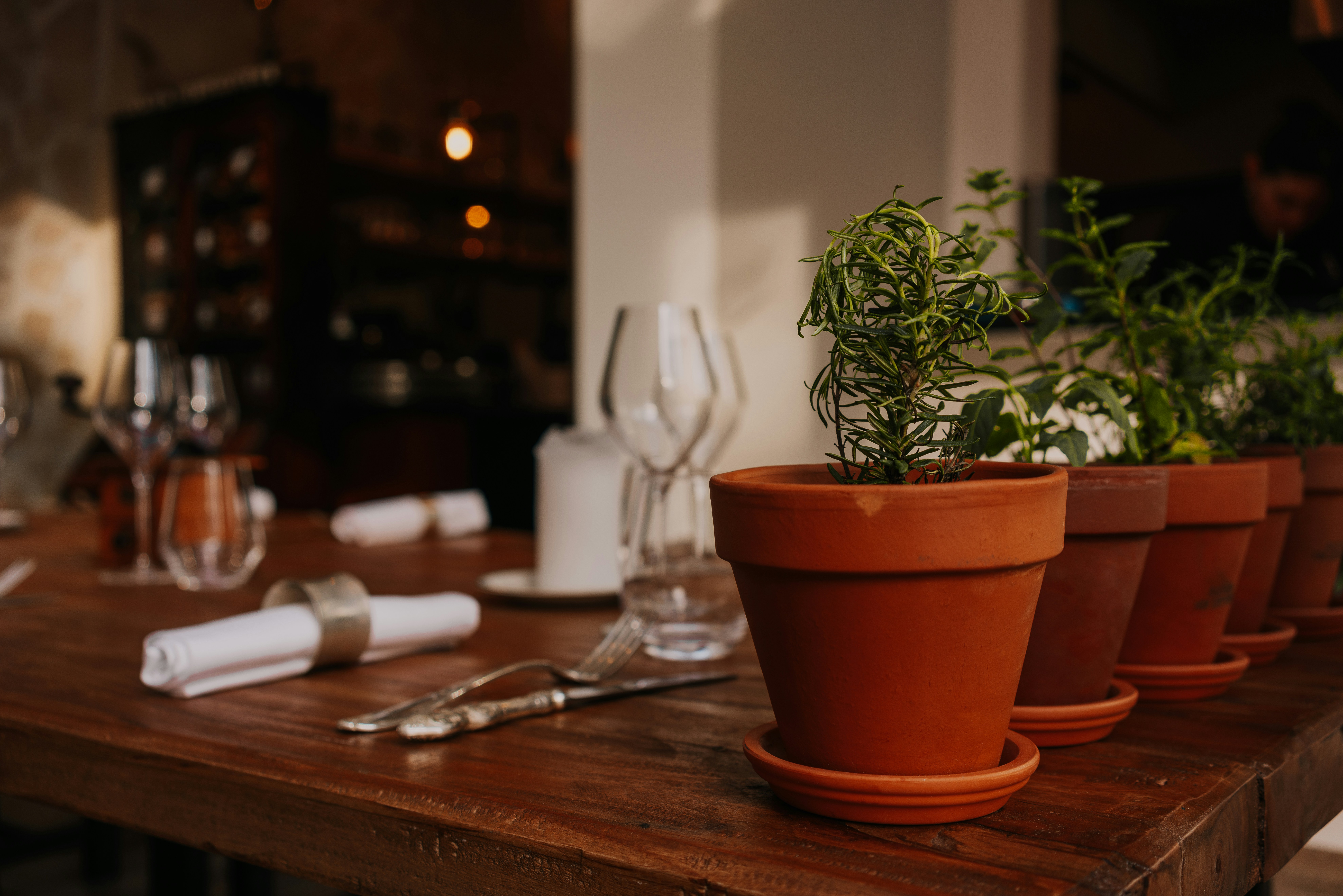 Bao Bar