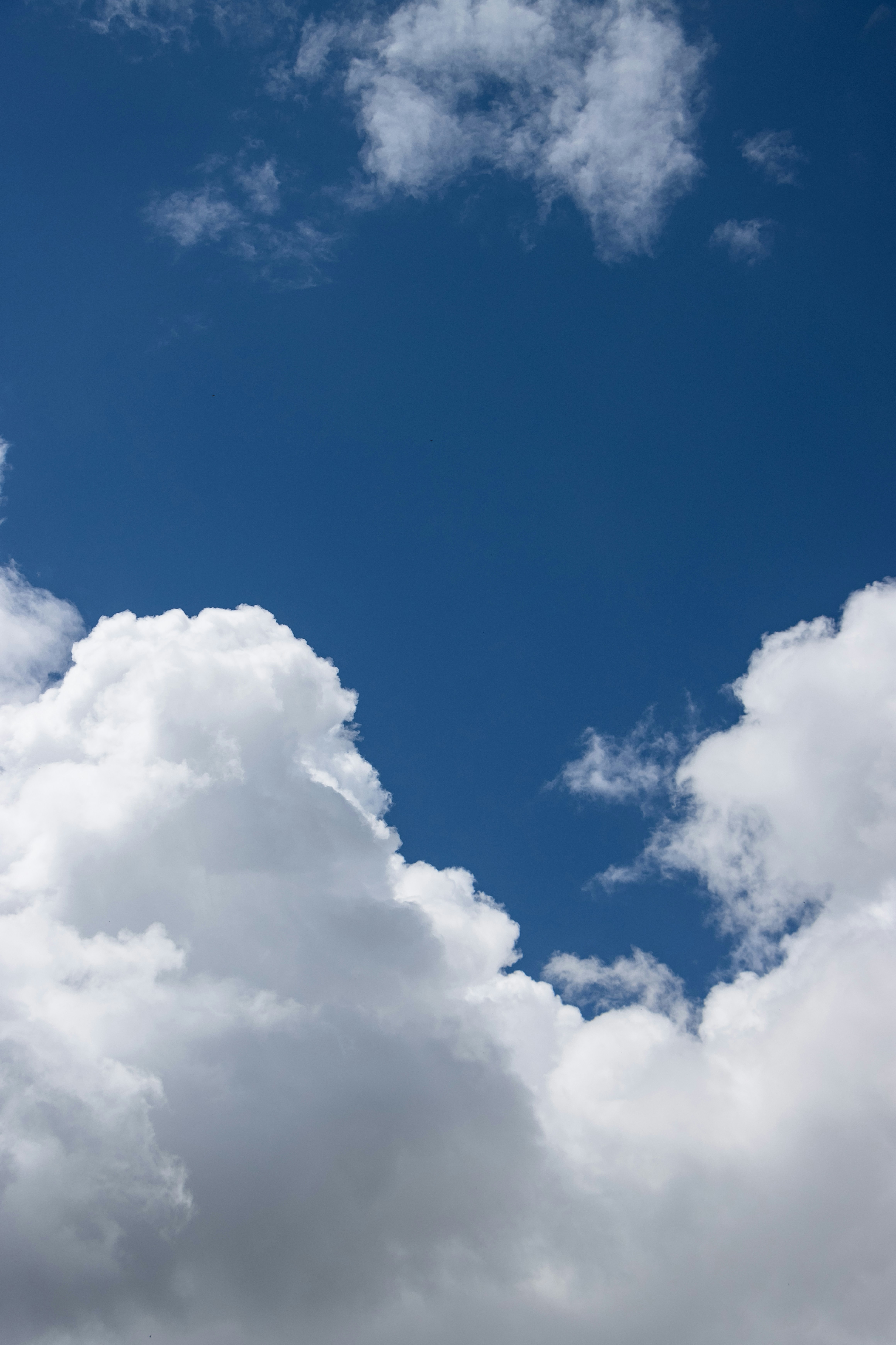 Photo by iamiliaafsharpoor