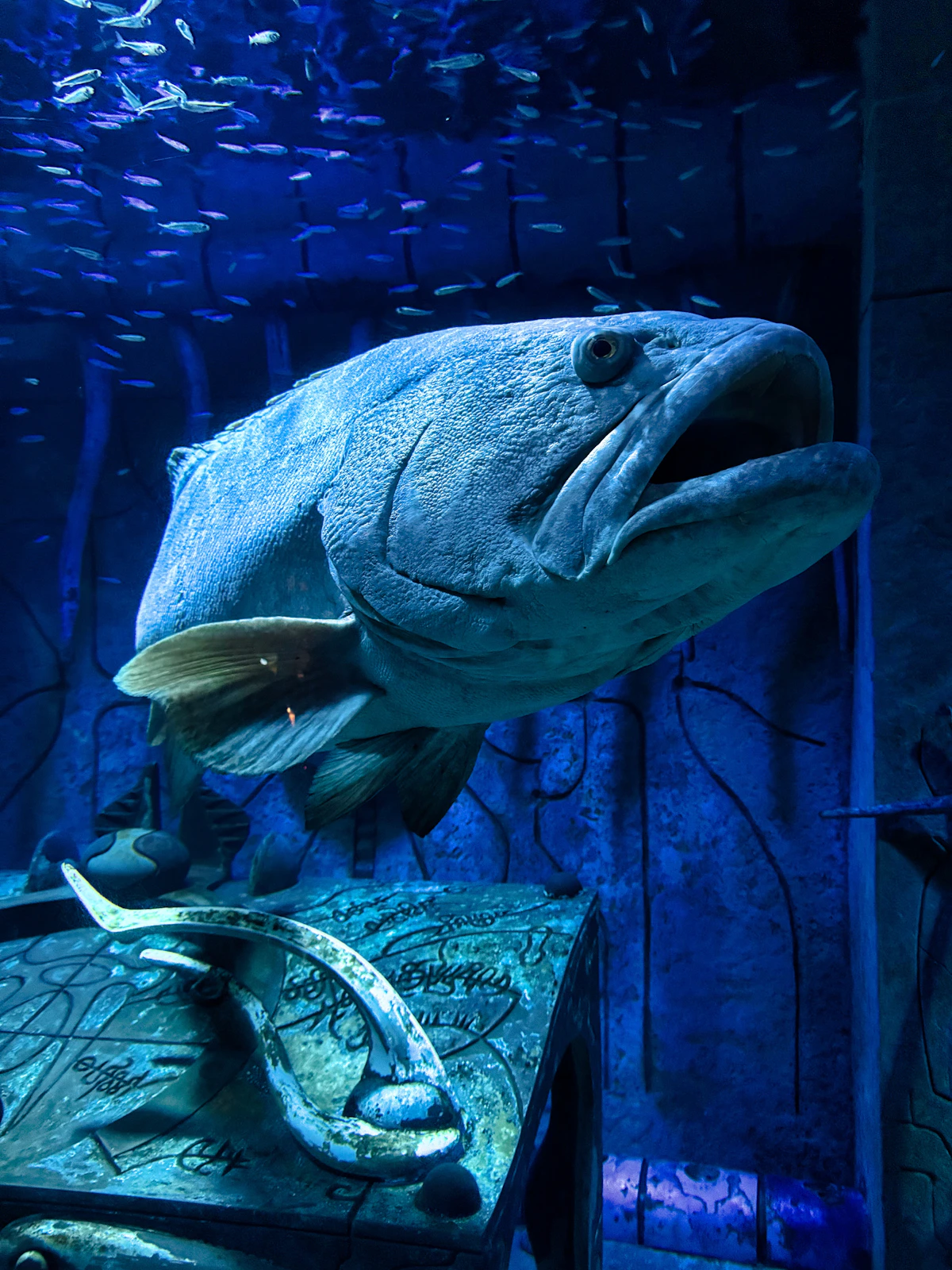 Dubai Aquarium