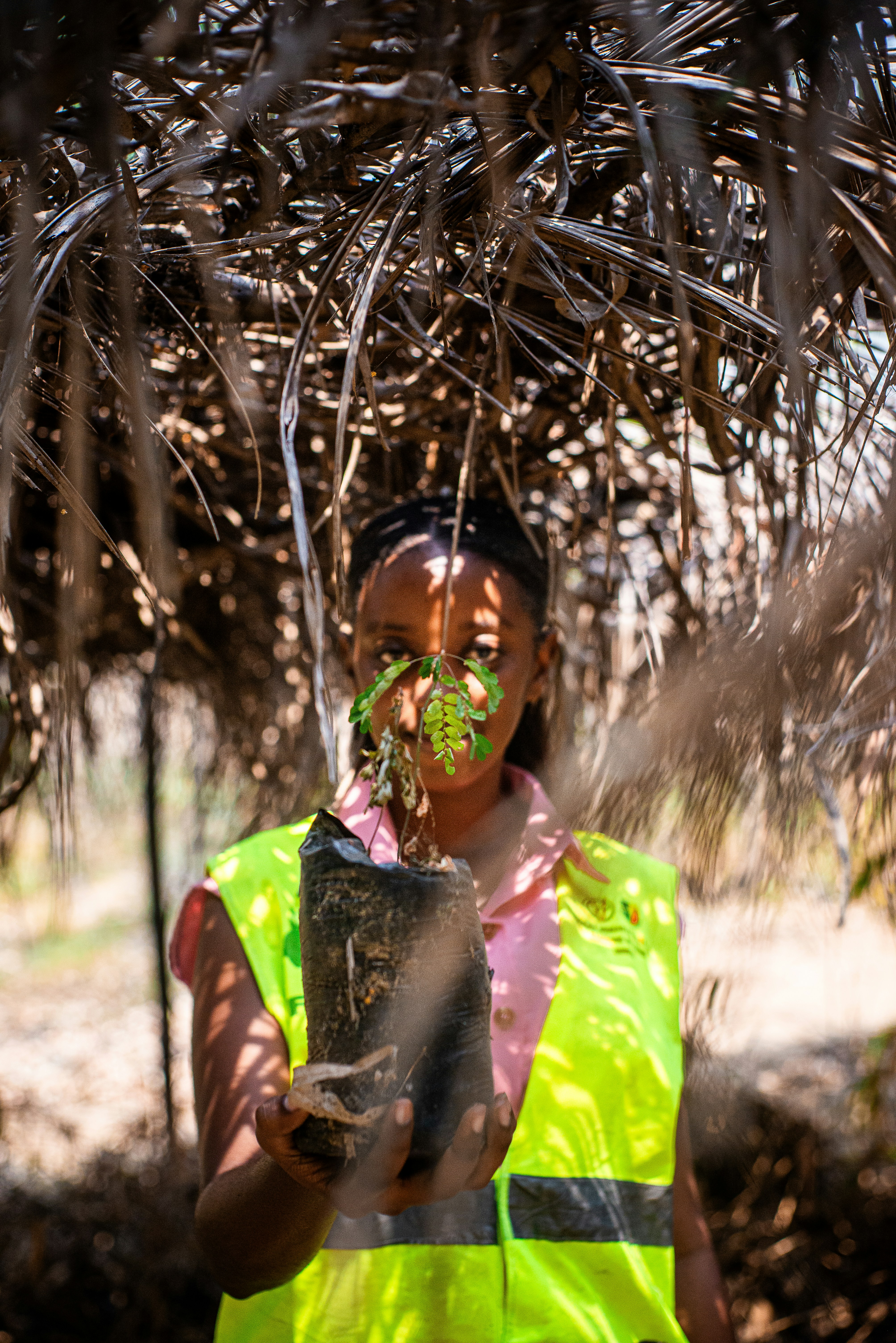 Photo by travyskande