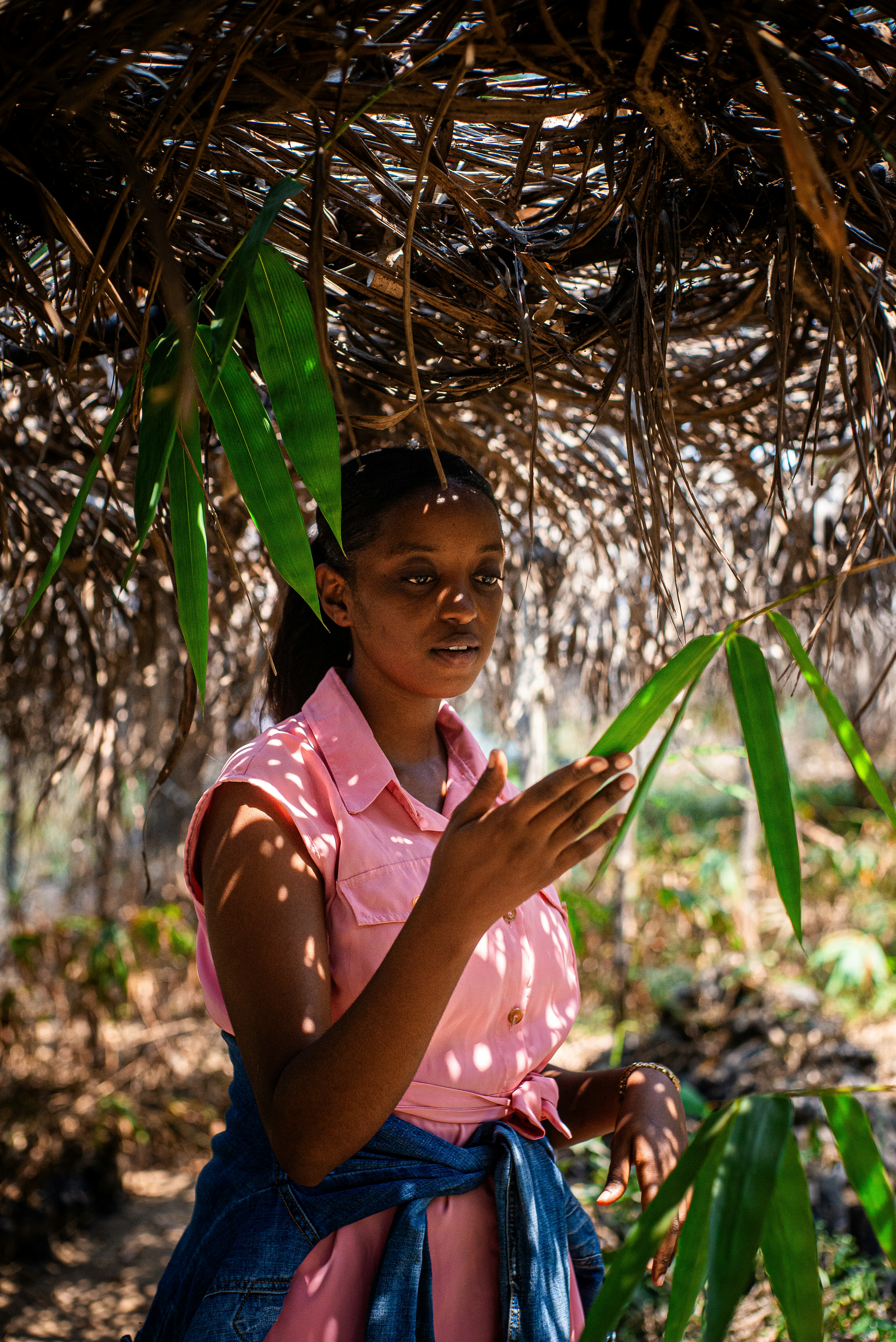 Photo by travyskande