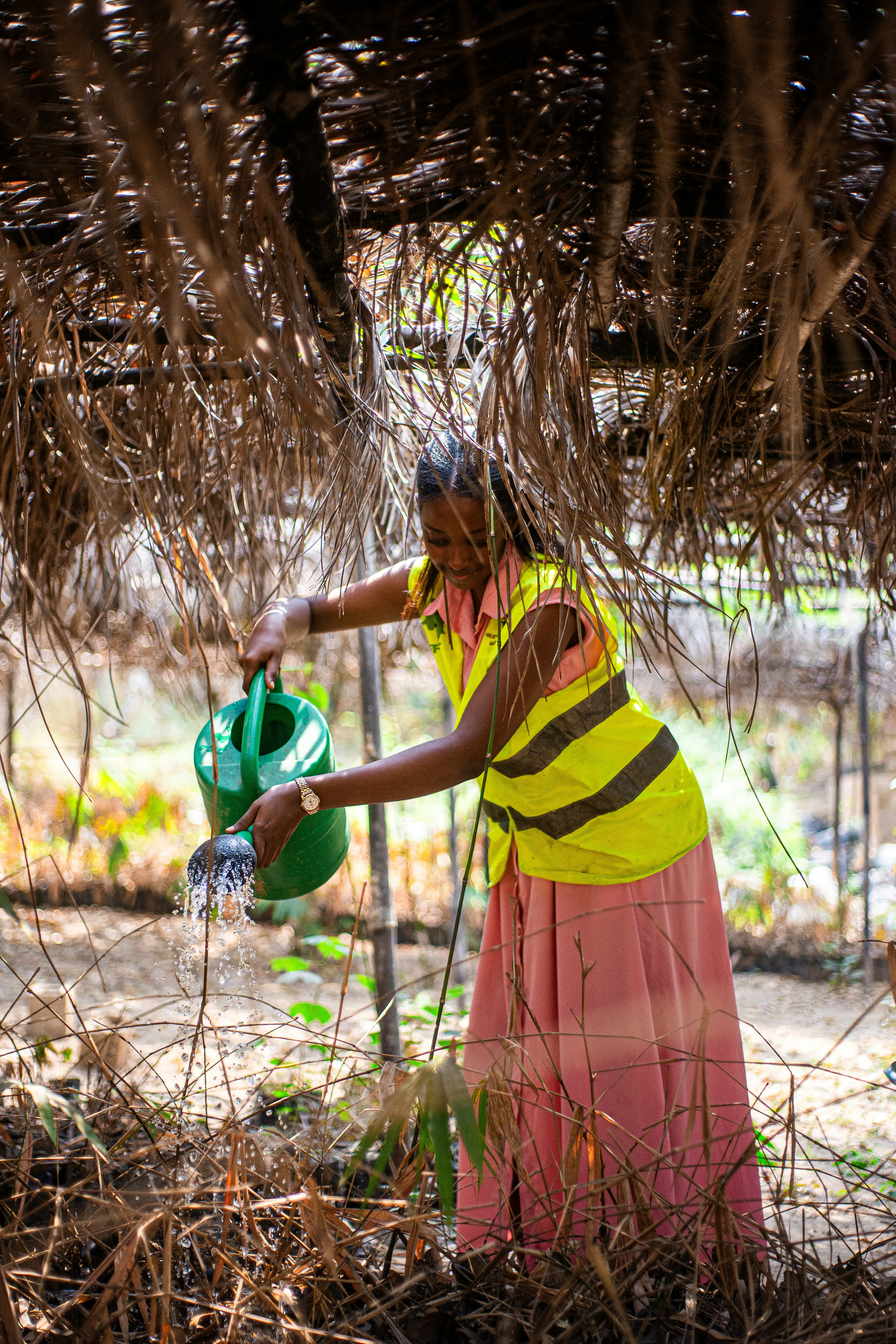 Photo by travyskande