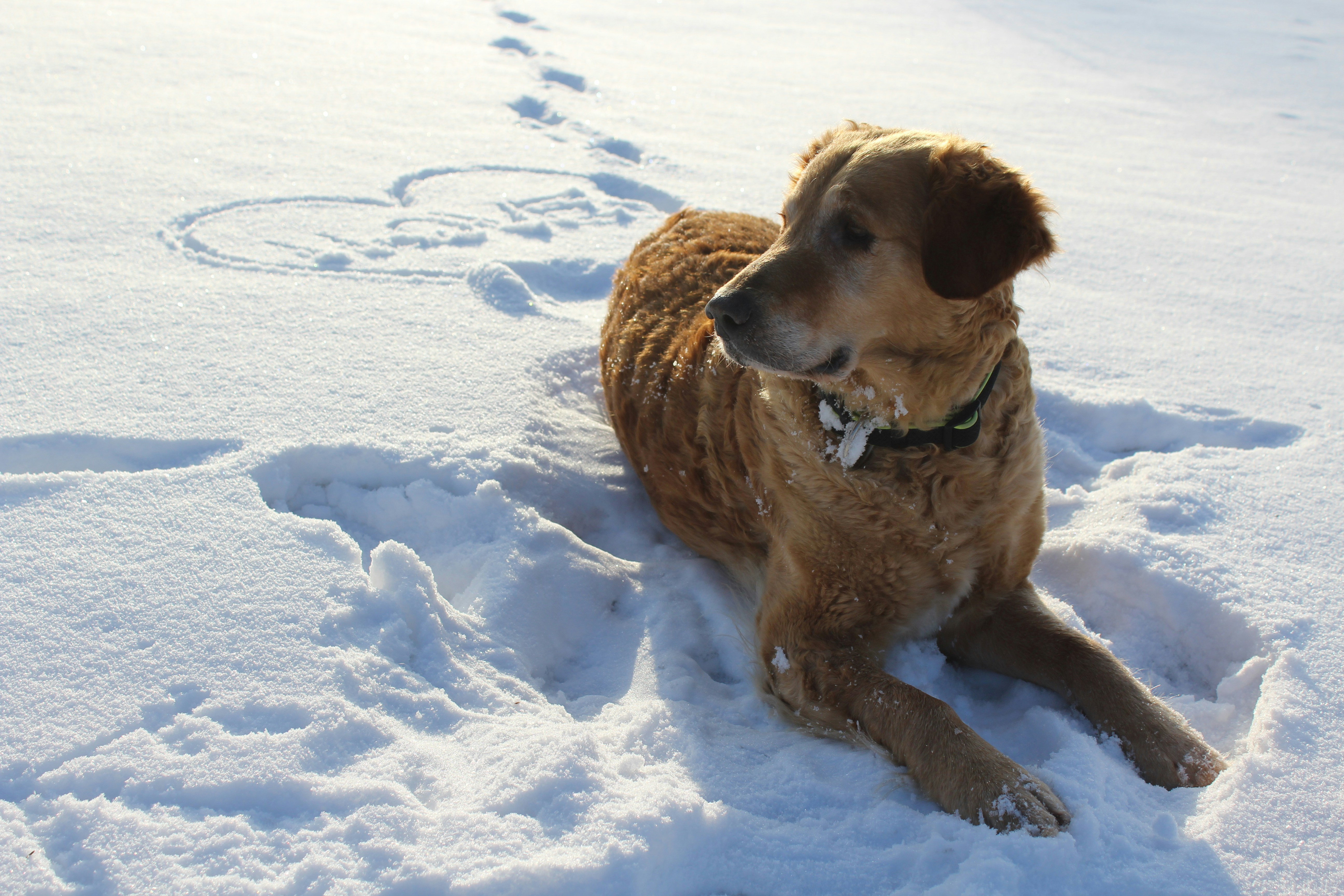 Photo by alys_skowron