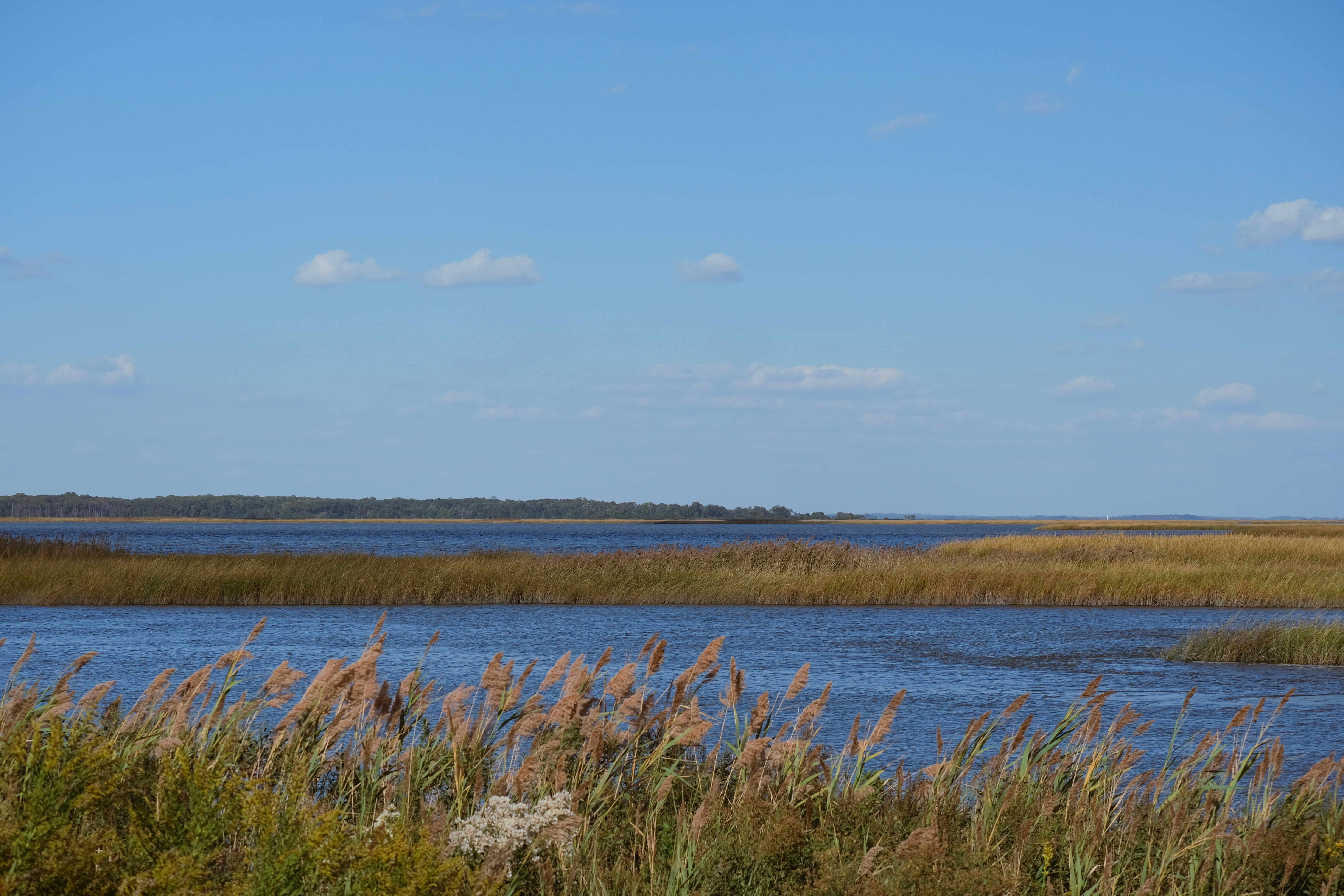 Photo by drewster456