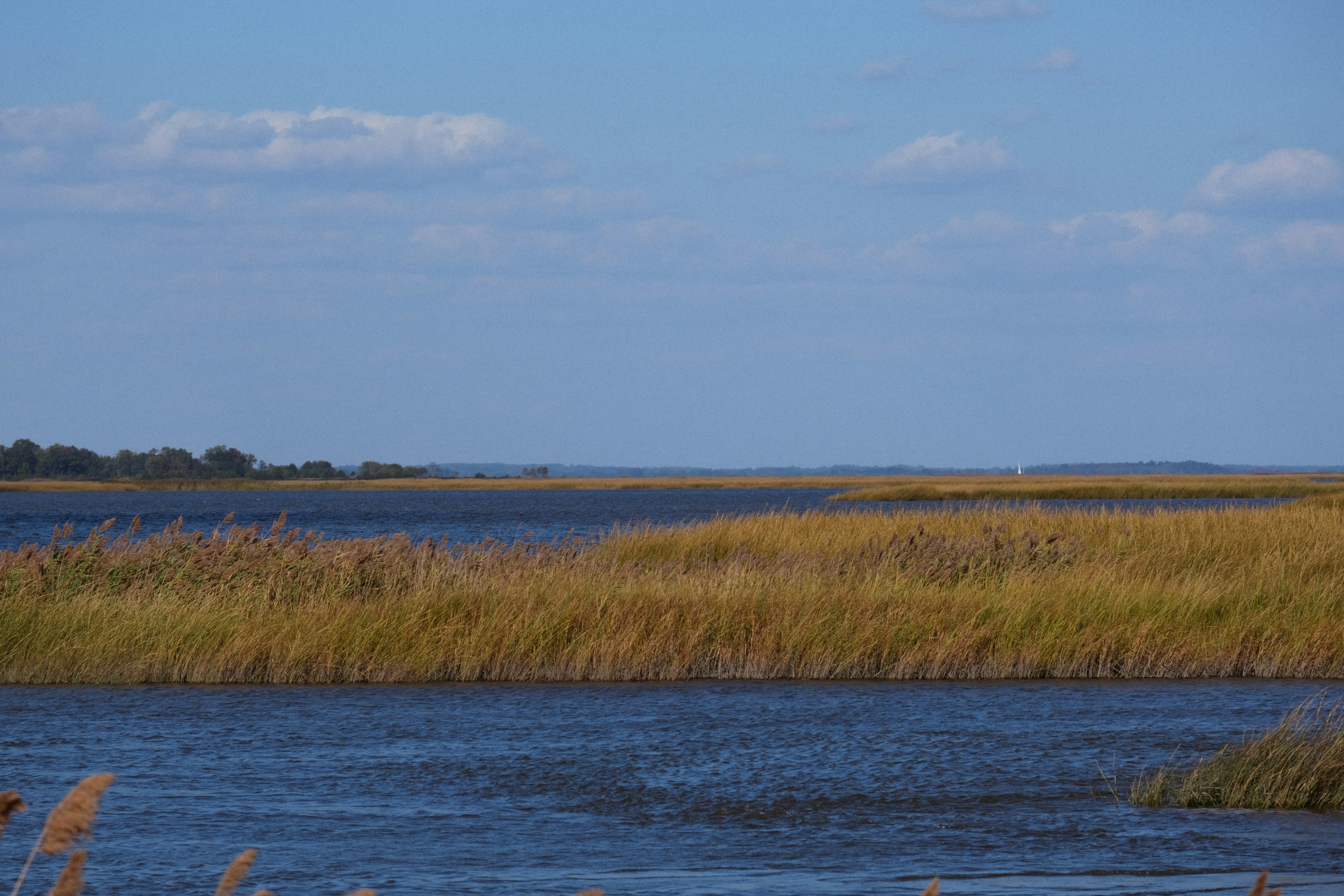 Photo by drewster456