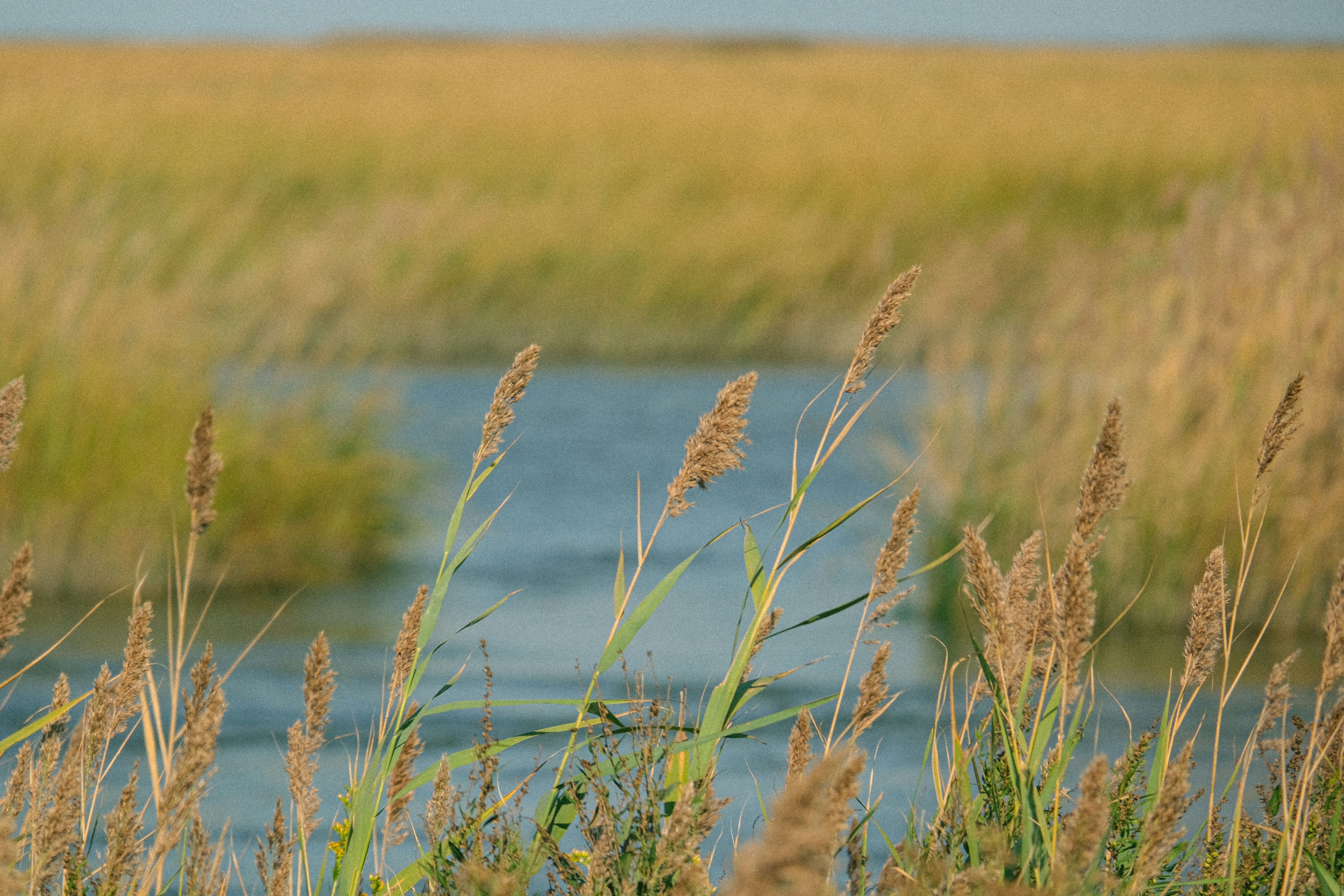 Photo by drewster456