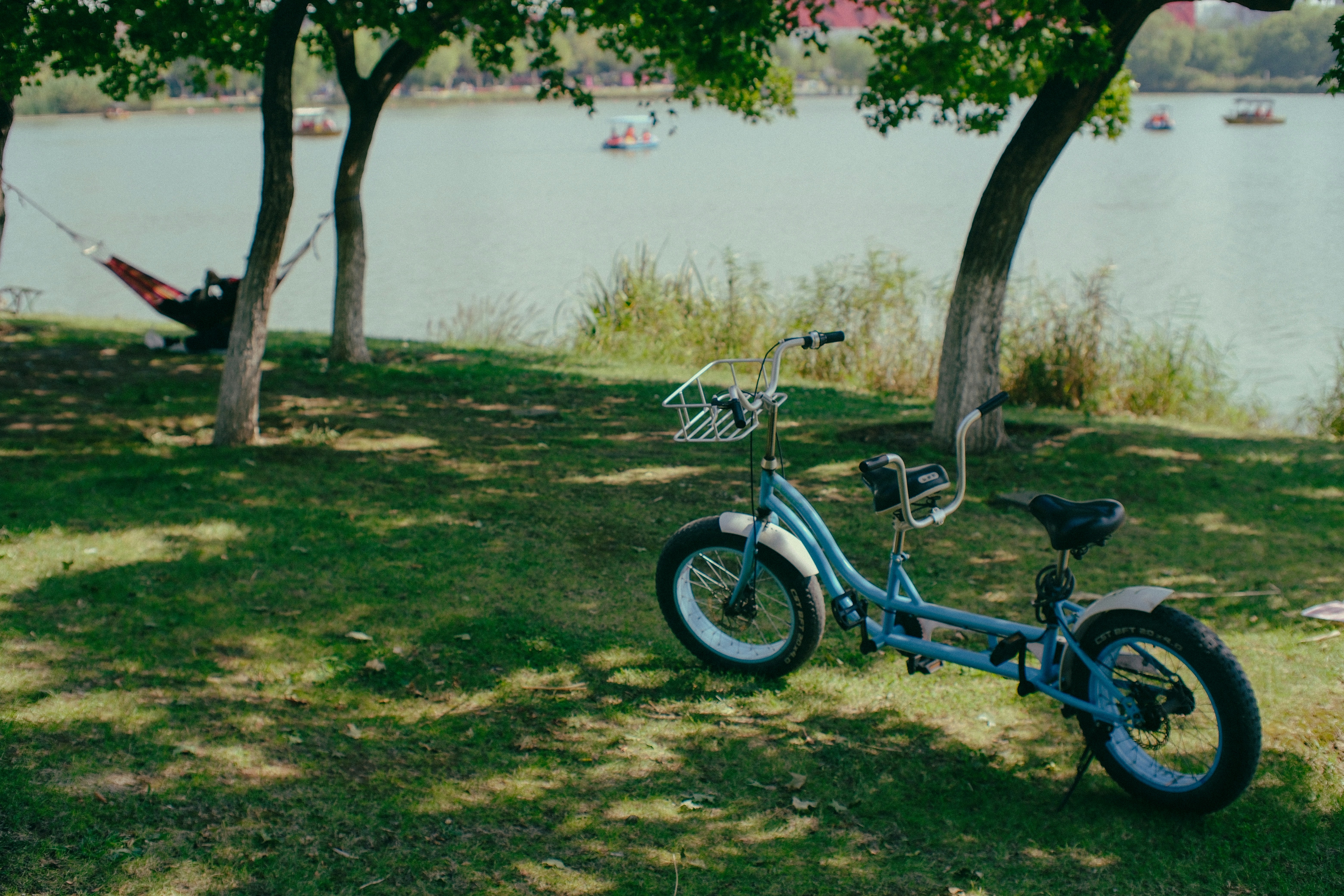 Photo by photohunter