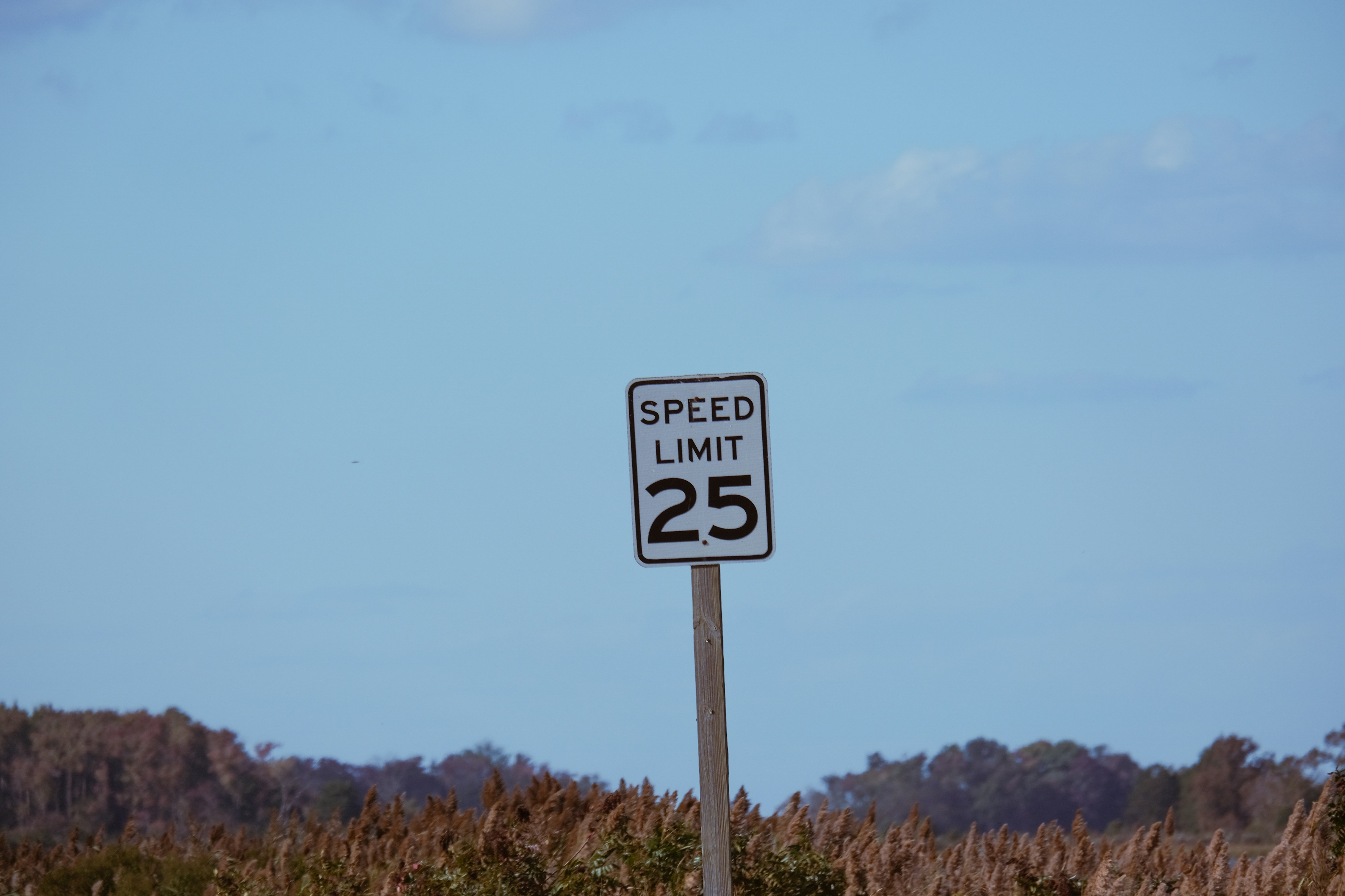 Photo by drewster456