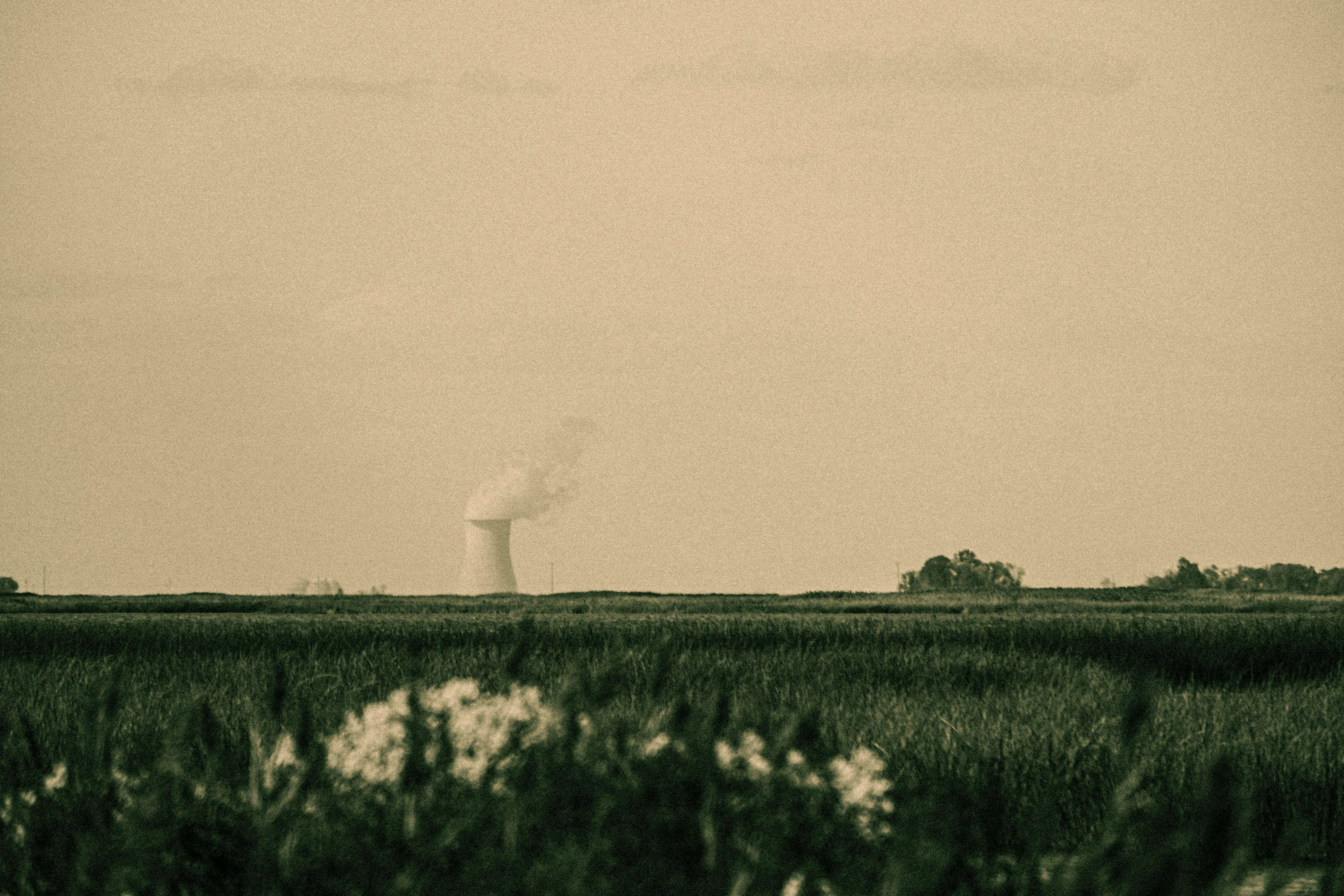 A field with a wind turbine in the distance