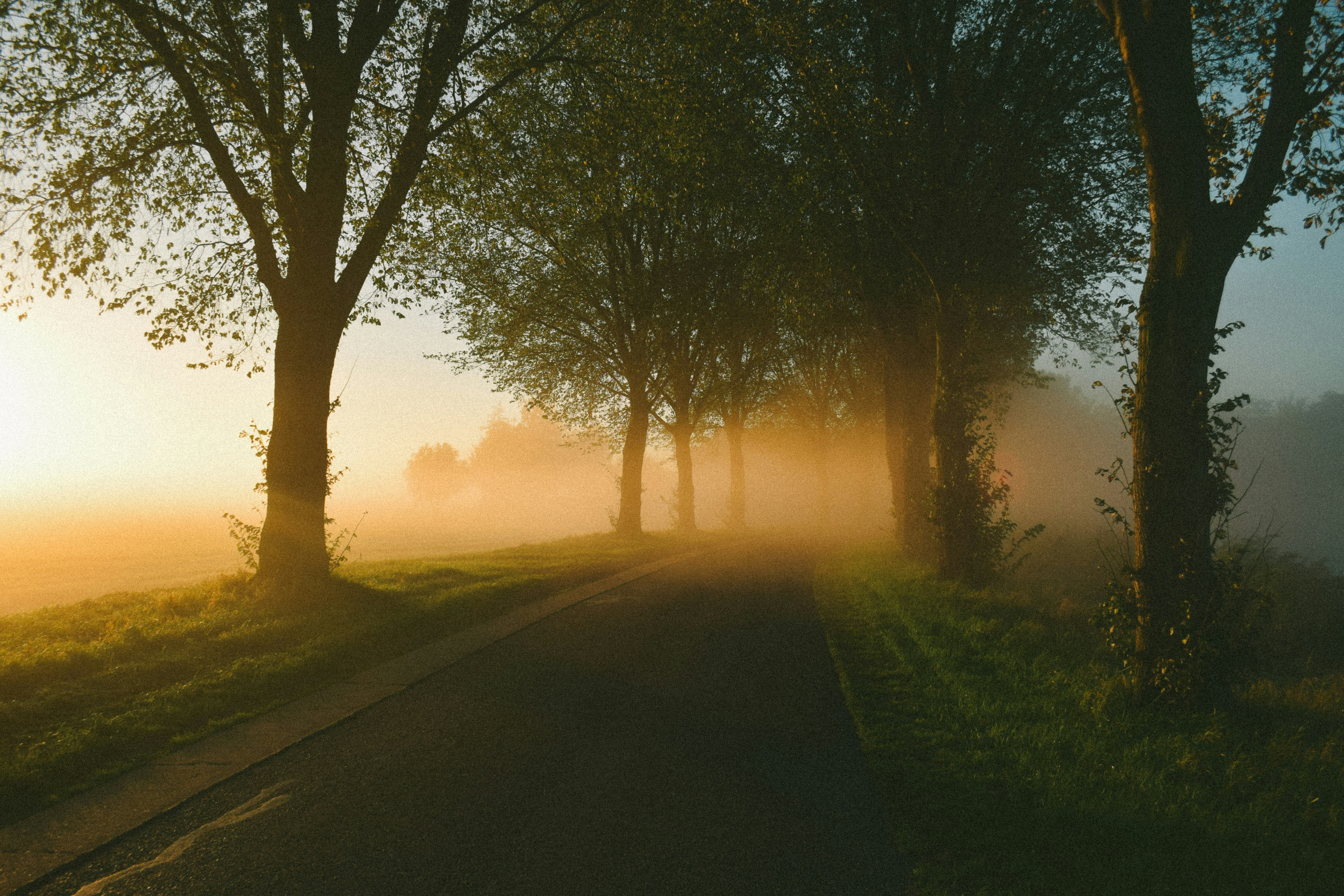 Daily Productive Sharing 1093 - Overcome Fear of Failure