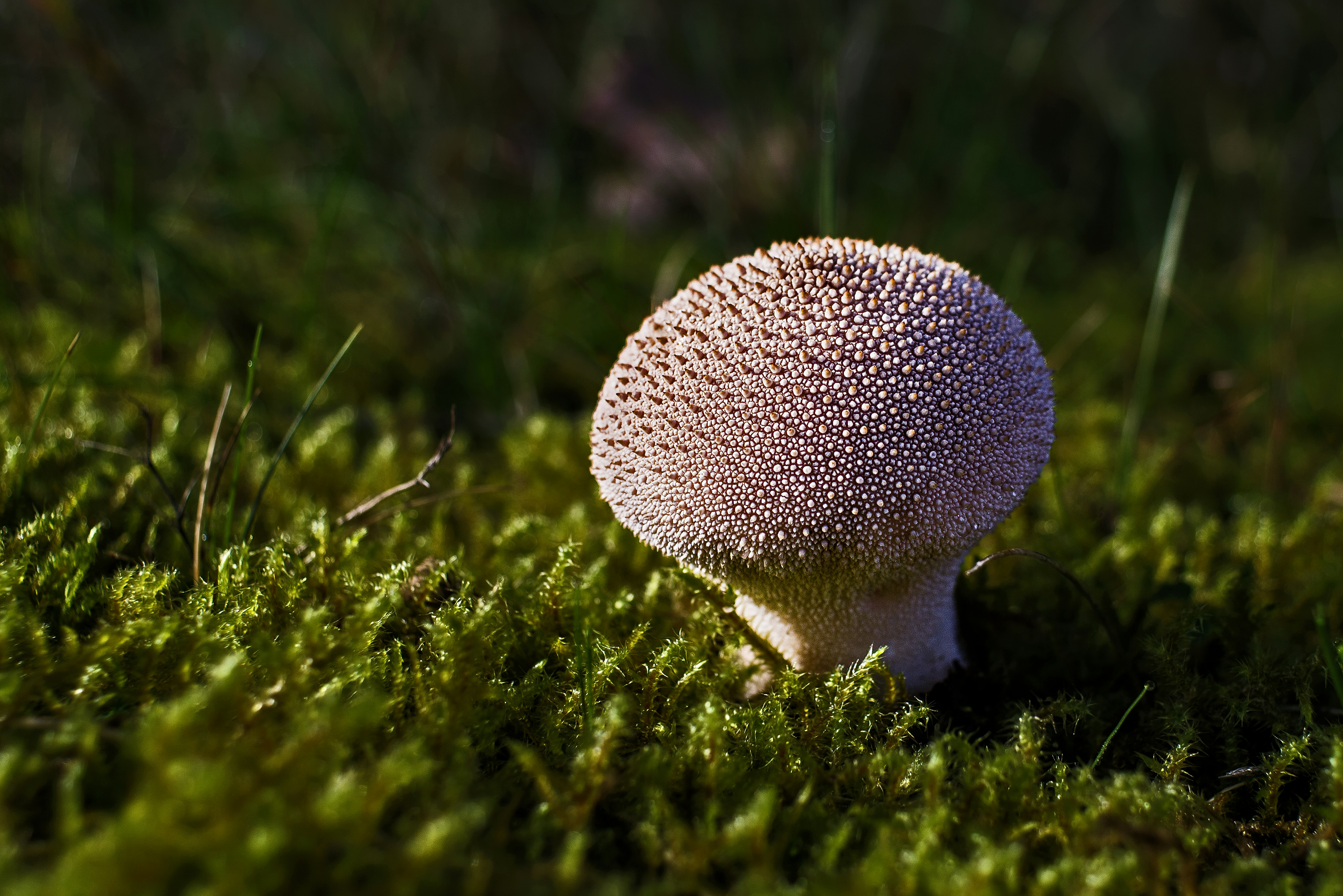 Photo by switch_dtp_fotografie