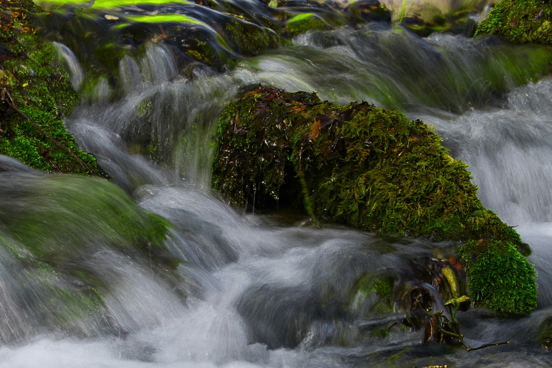 A stream of water running over rocks covered in moss