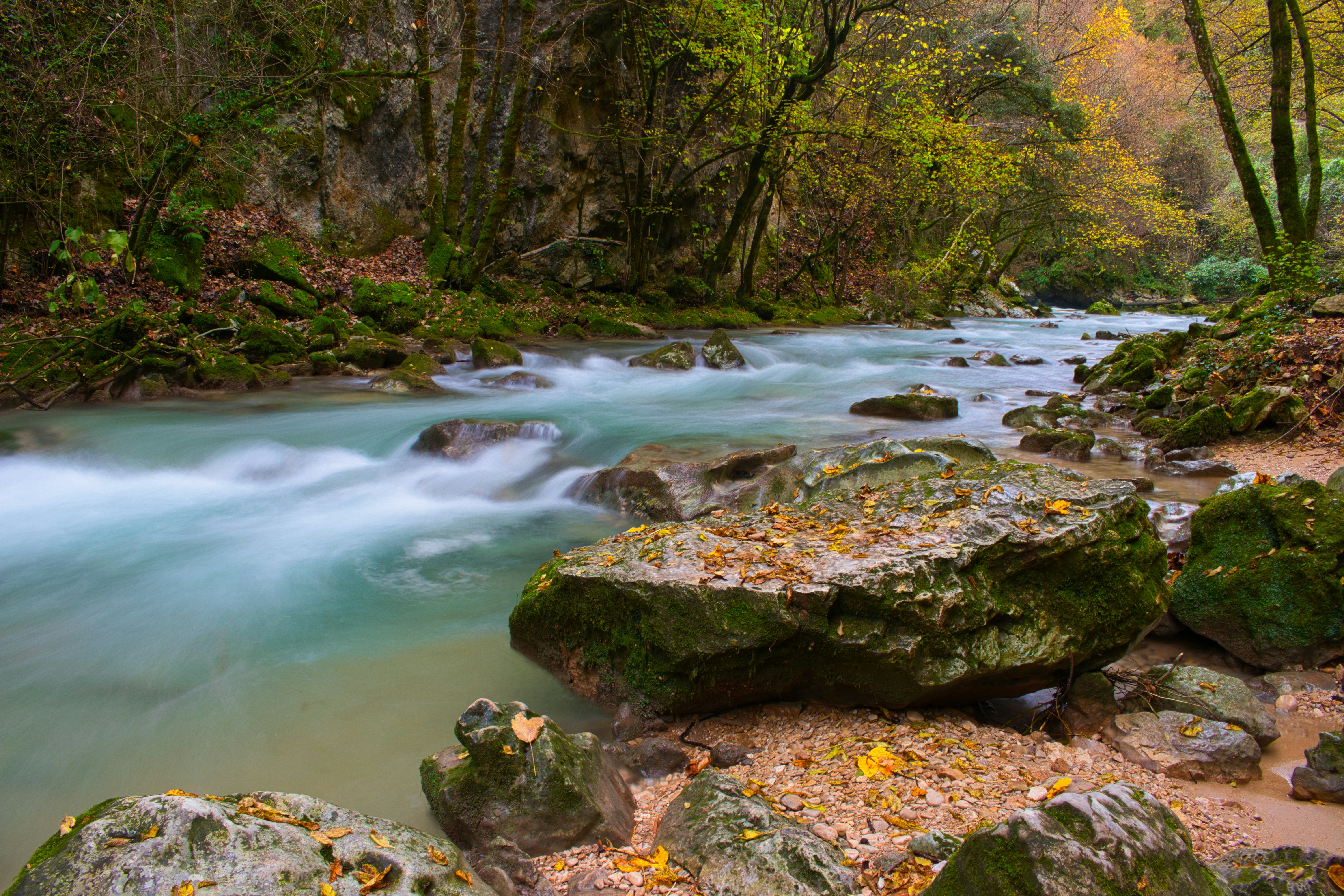 A river running through a lush green forest photo – Free Fiume Image on ...