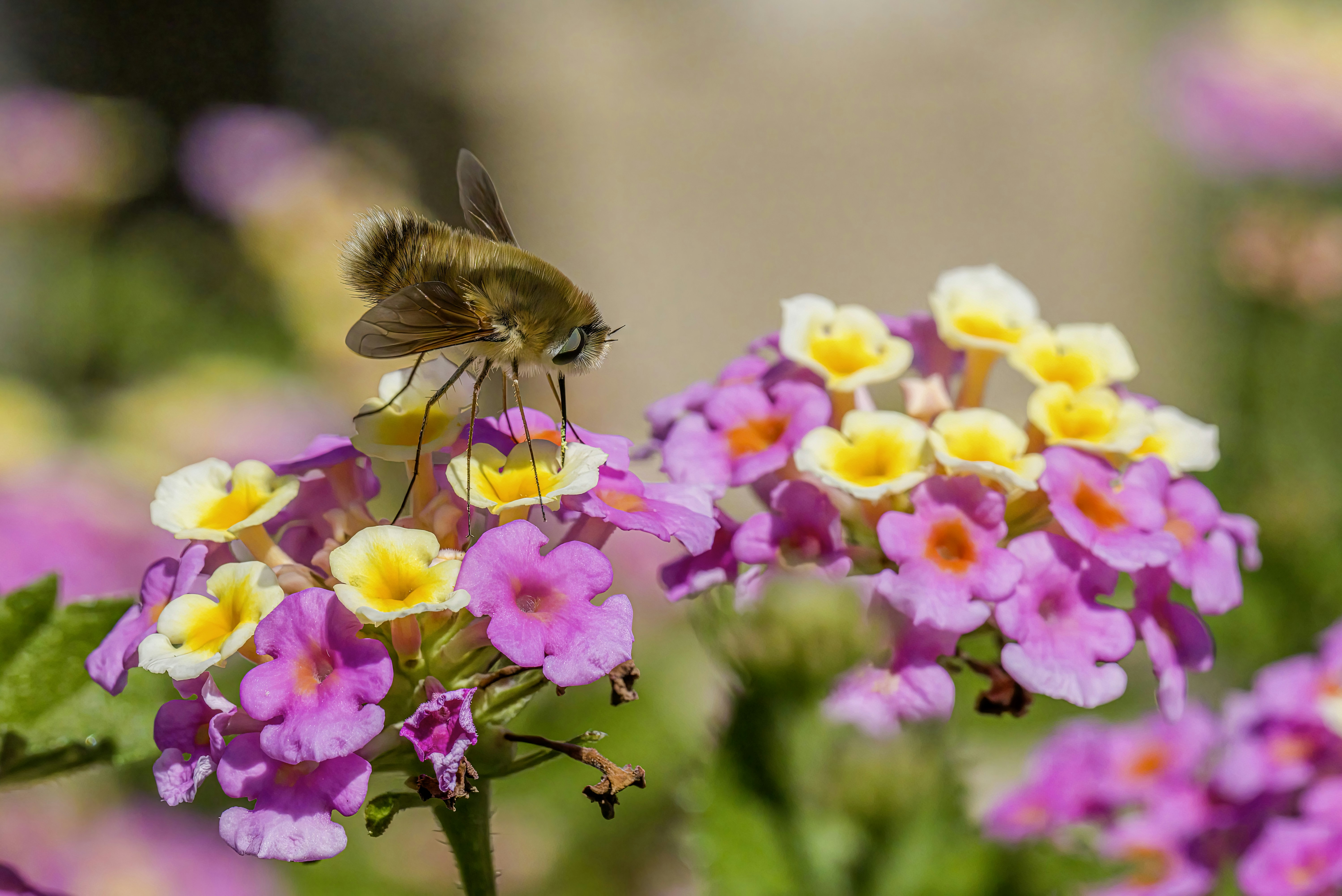 Photo by erik_karits